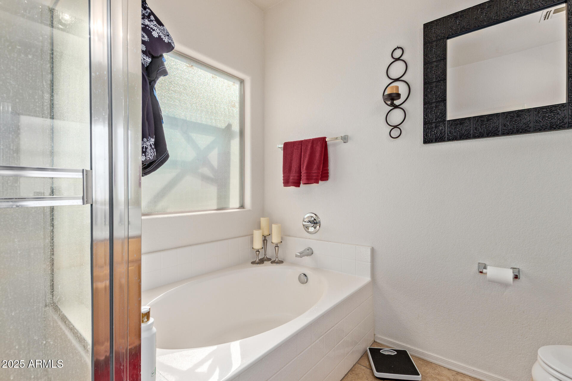 44241 W DESERT PLANT Trail