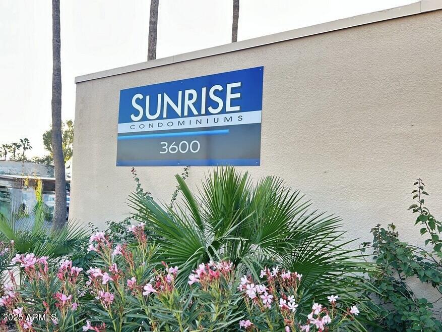 3600 N HAYDEN Road, 3412