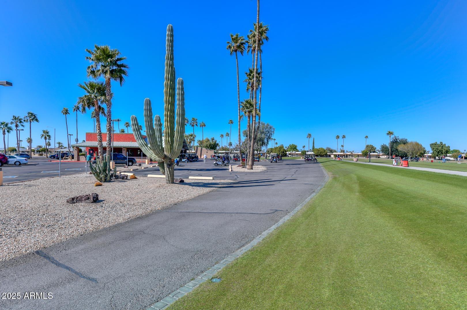 15205 N DESERT ROSE Drive