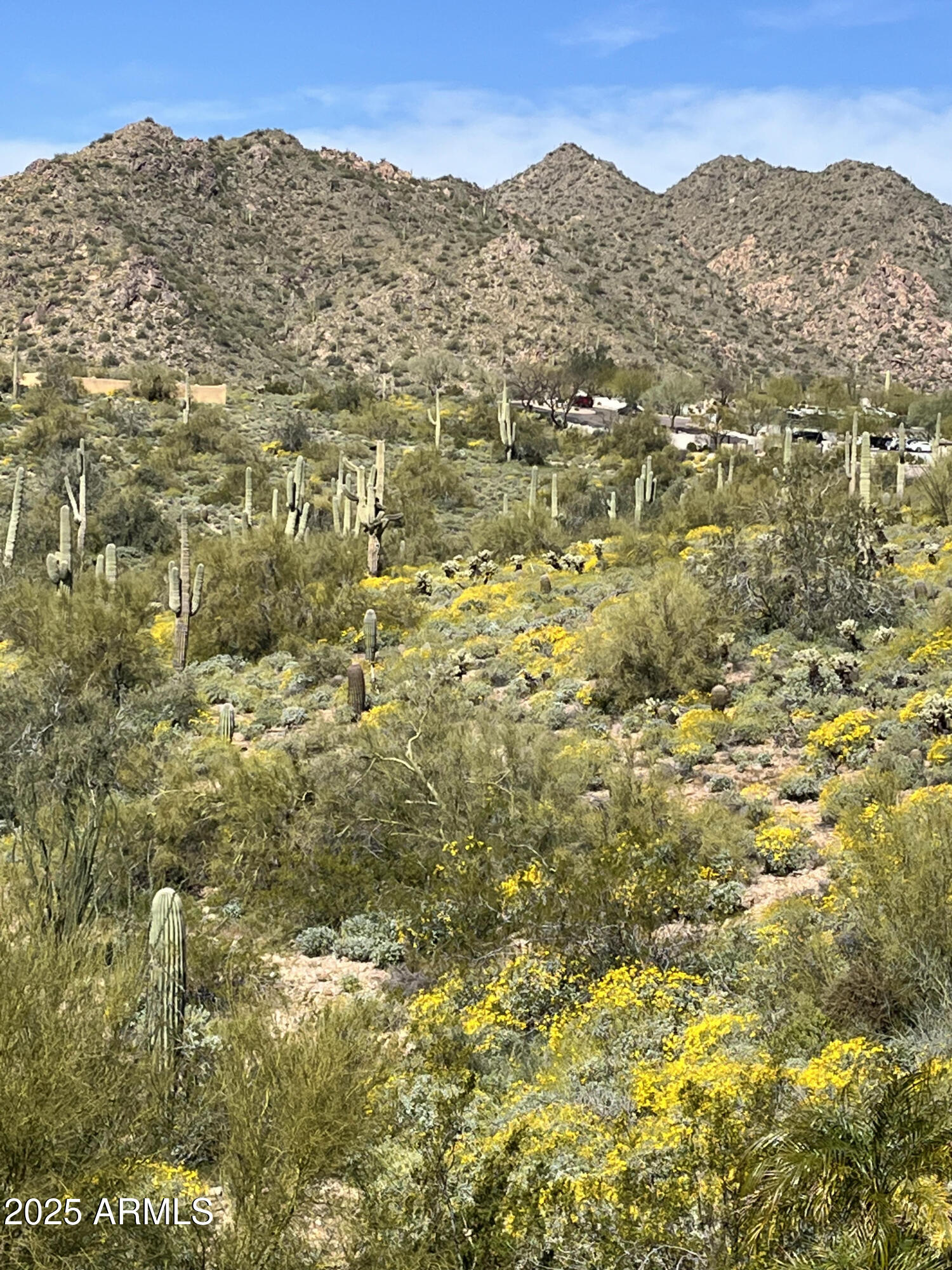 14850 E GRANDVIEW Drive, 239