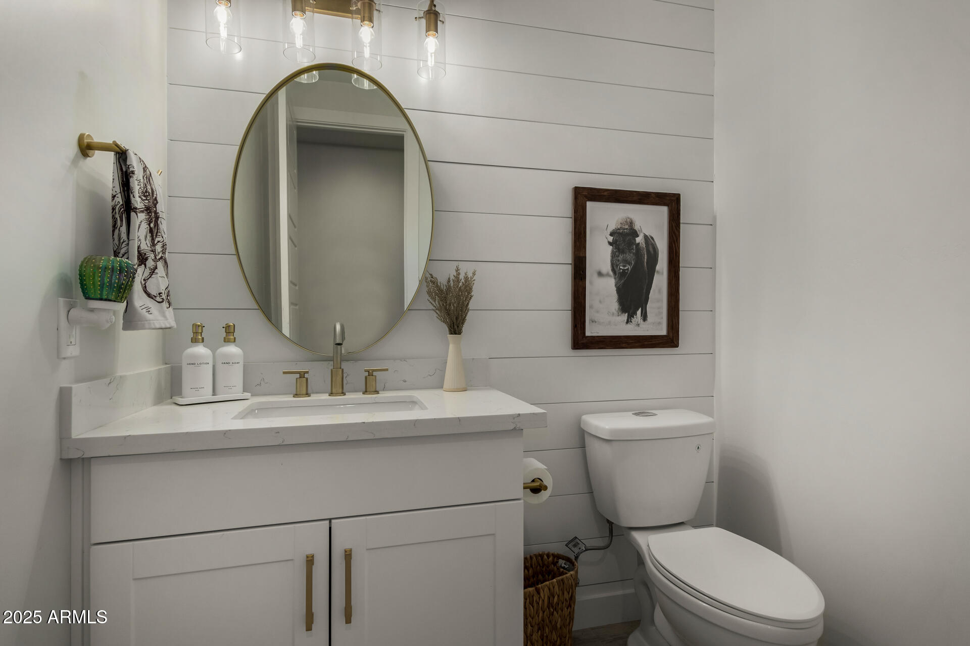 2062 W Moon Dust Trail