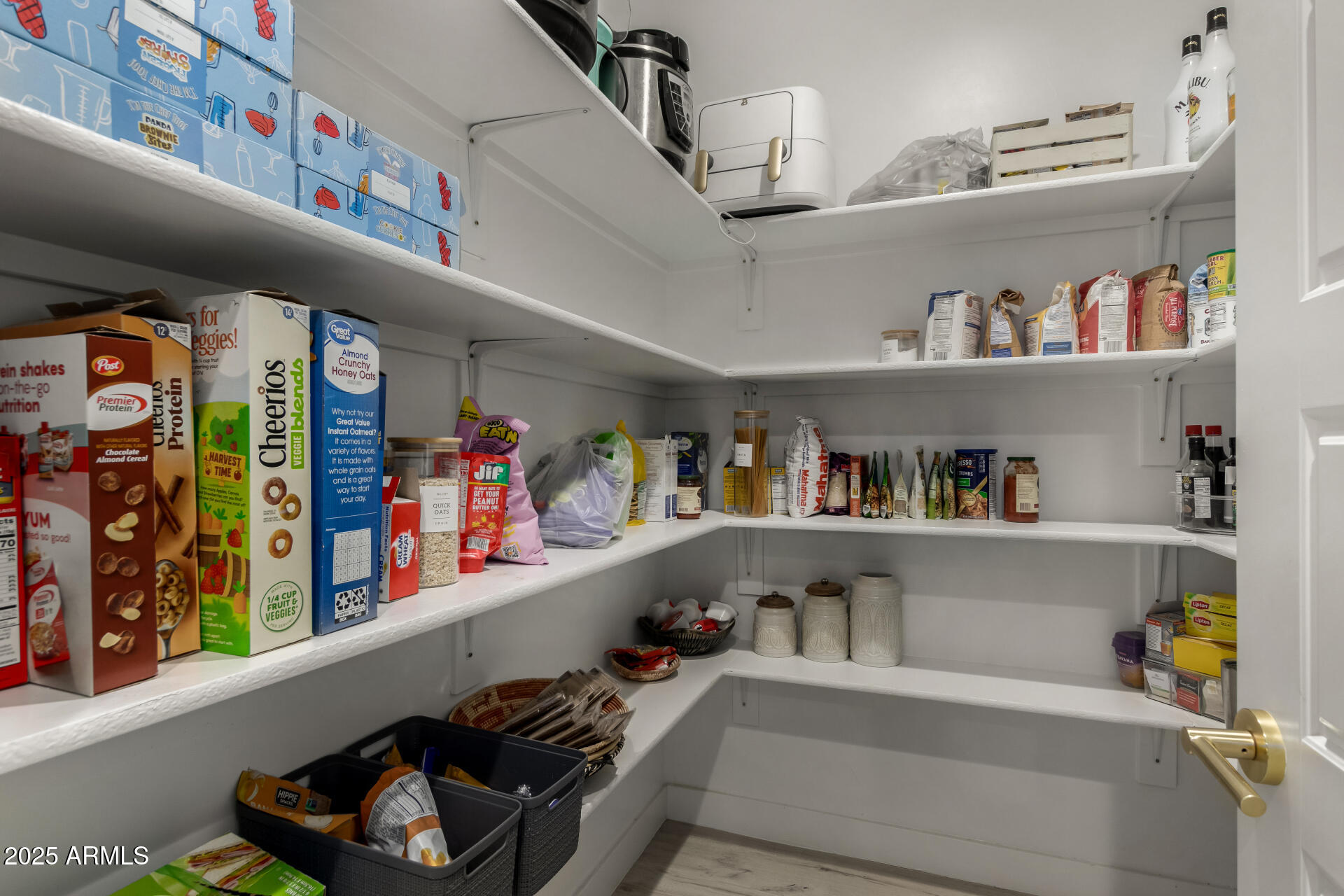 2062 W Moon Dust Trail