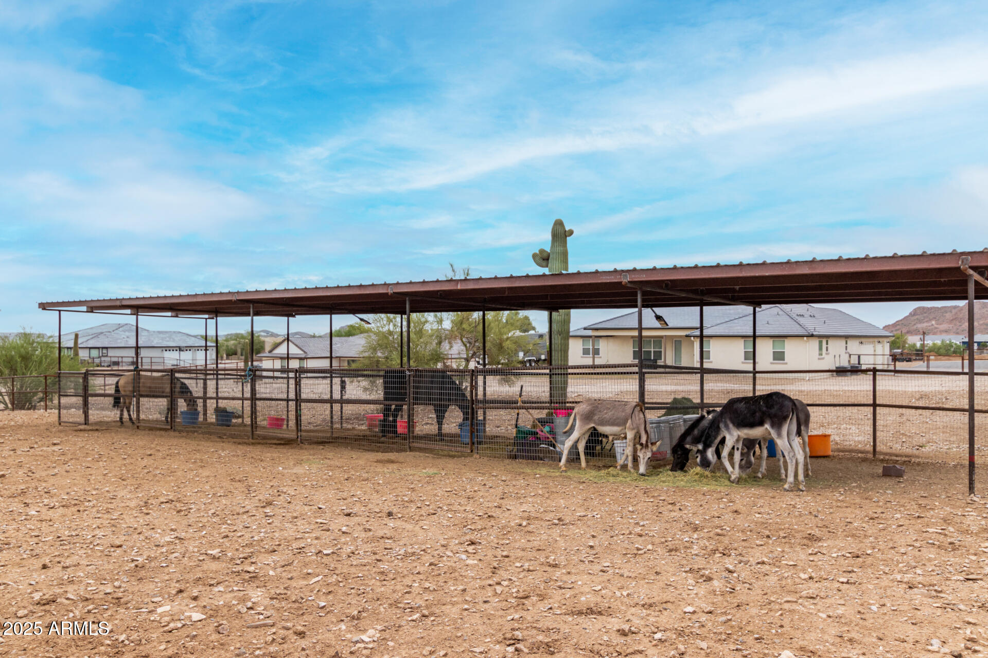 2062 W Moon Dust Trail