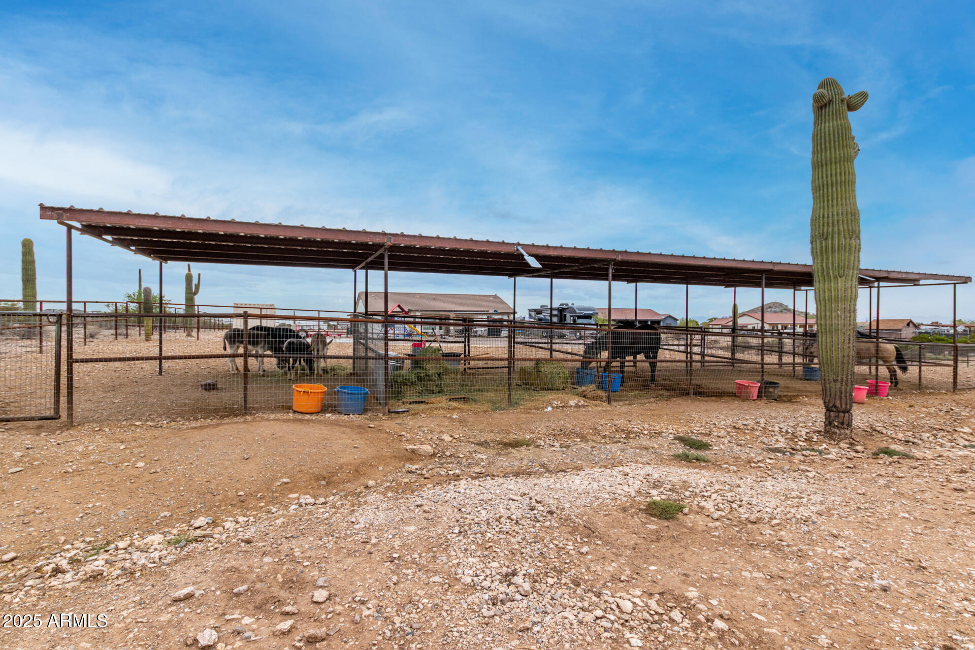 2062 W Moon Dust Trail