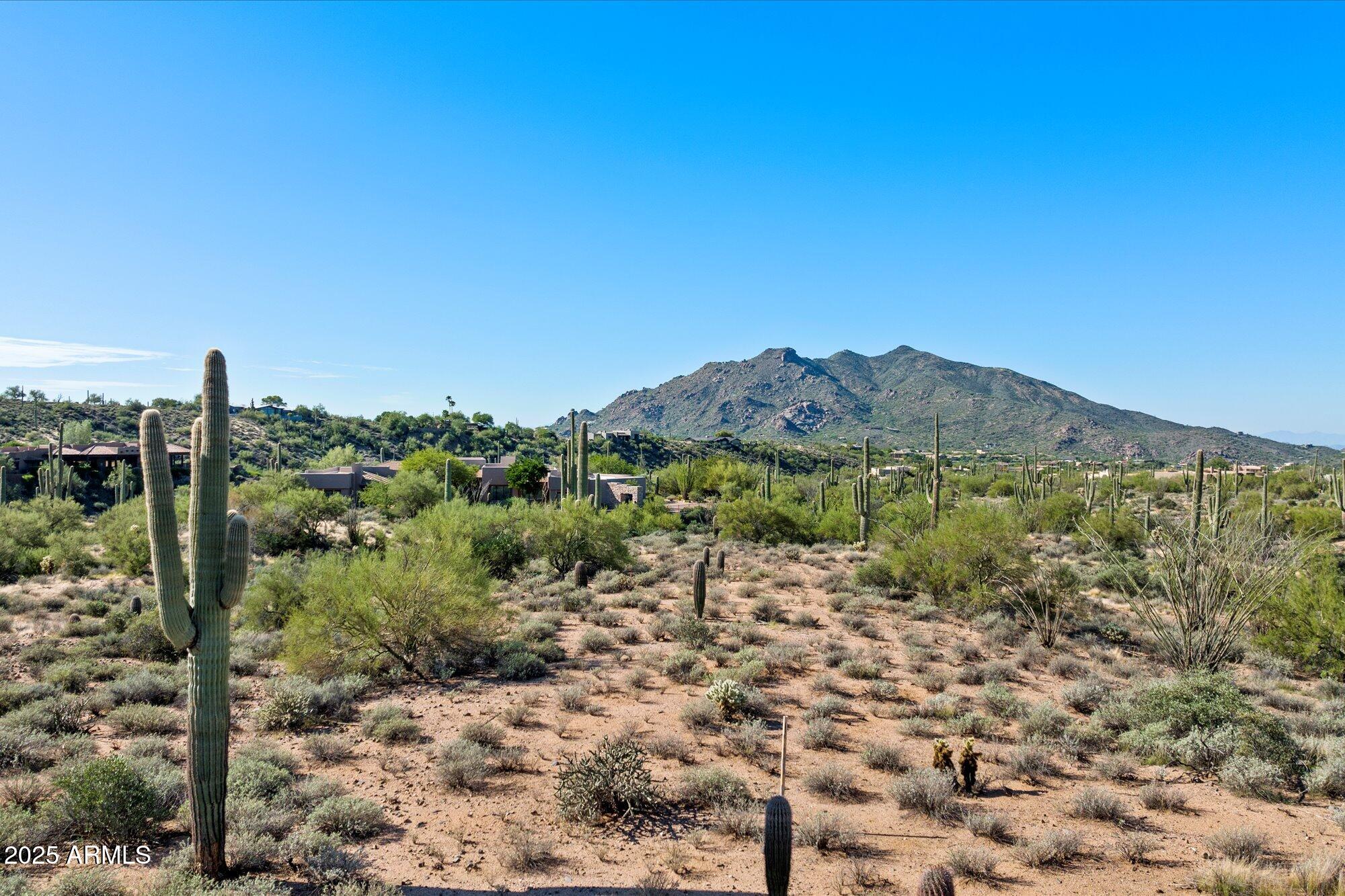 39005 N CRESTED QUAIL Run, 18