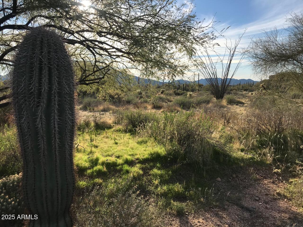 39005 N CRESTED QUAIL Run, 18