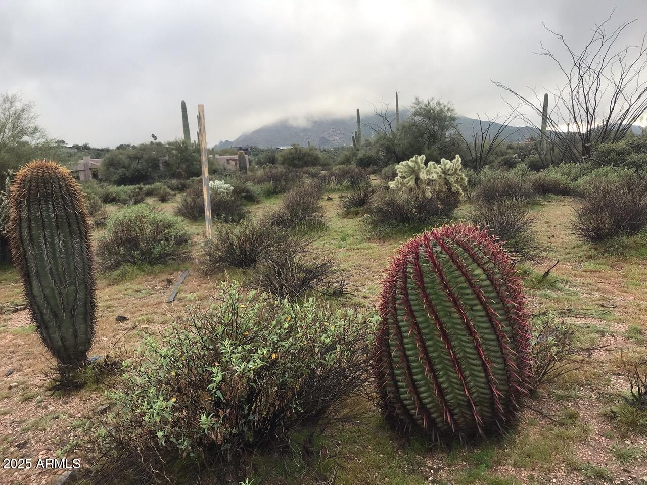 39005 N CRESTED QUAIL Run, 18
