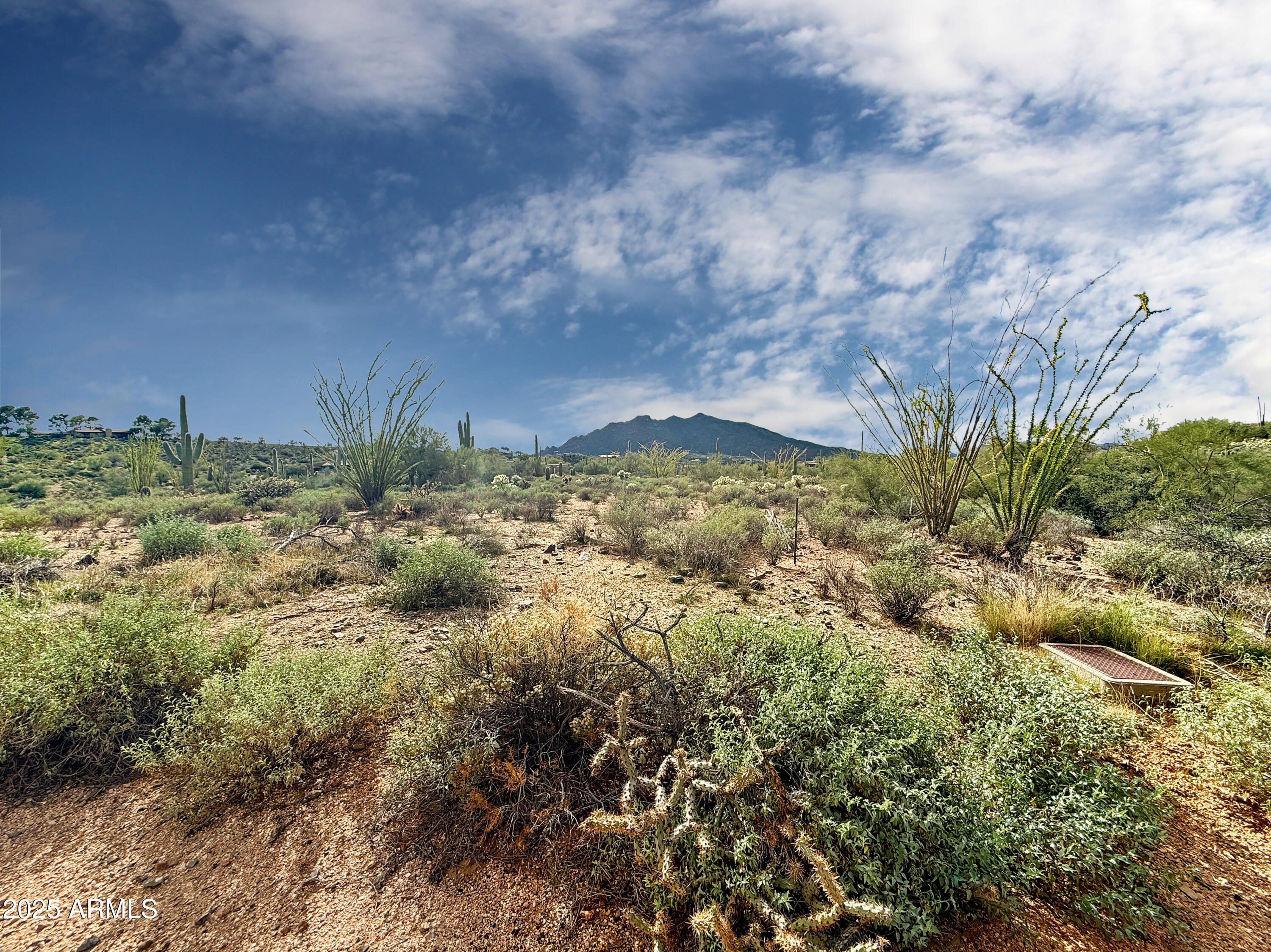39005 N CRESTED QUAIL Run, 18