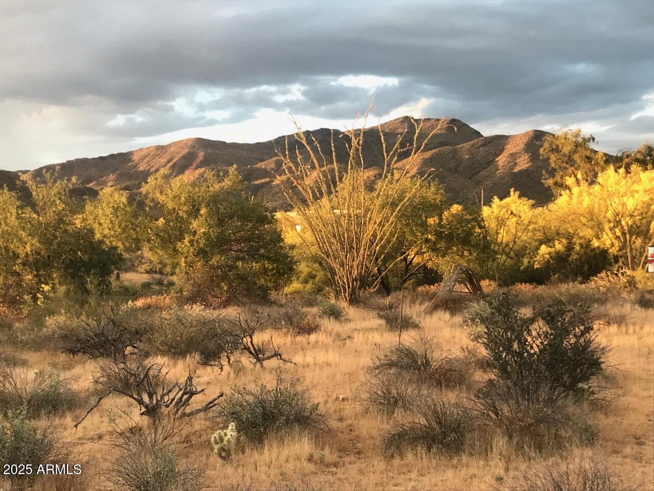 39005 N CRESTED QUAIL Run, 18