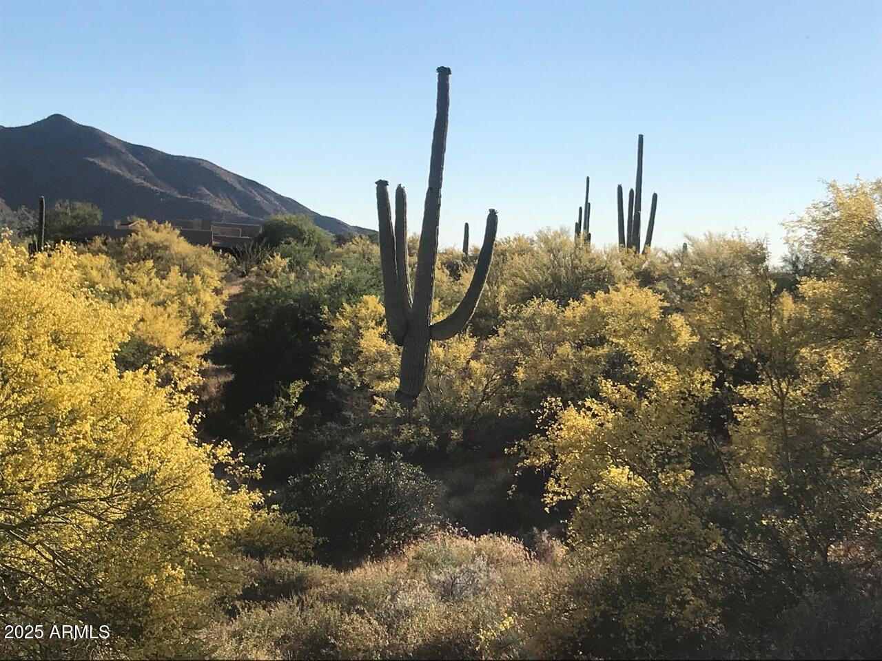 39005 N CRESTED QUAIL Run, 18