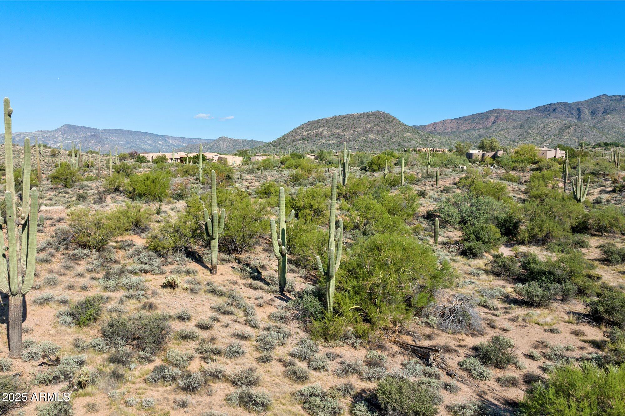 39005 N CRESTED QUAIL Run, 18