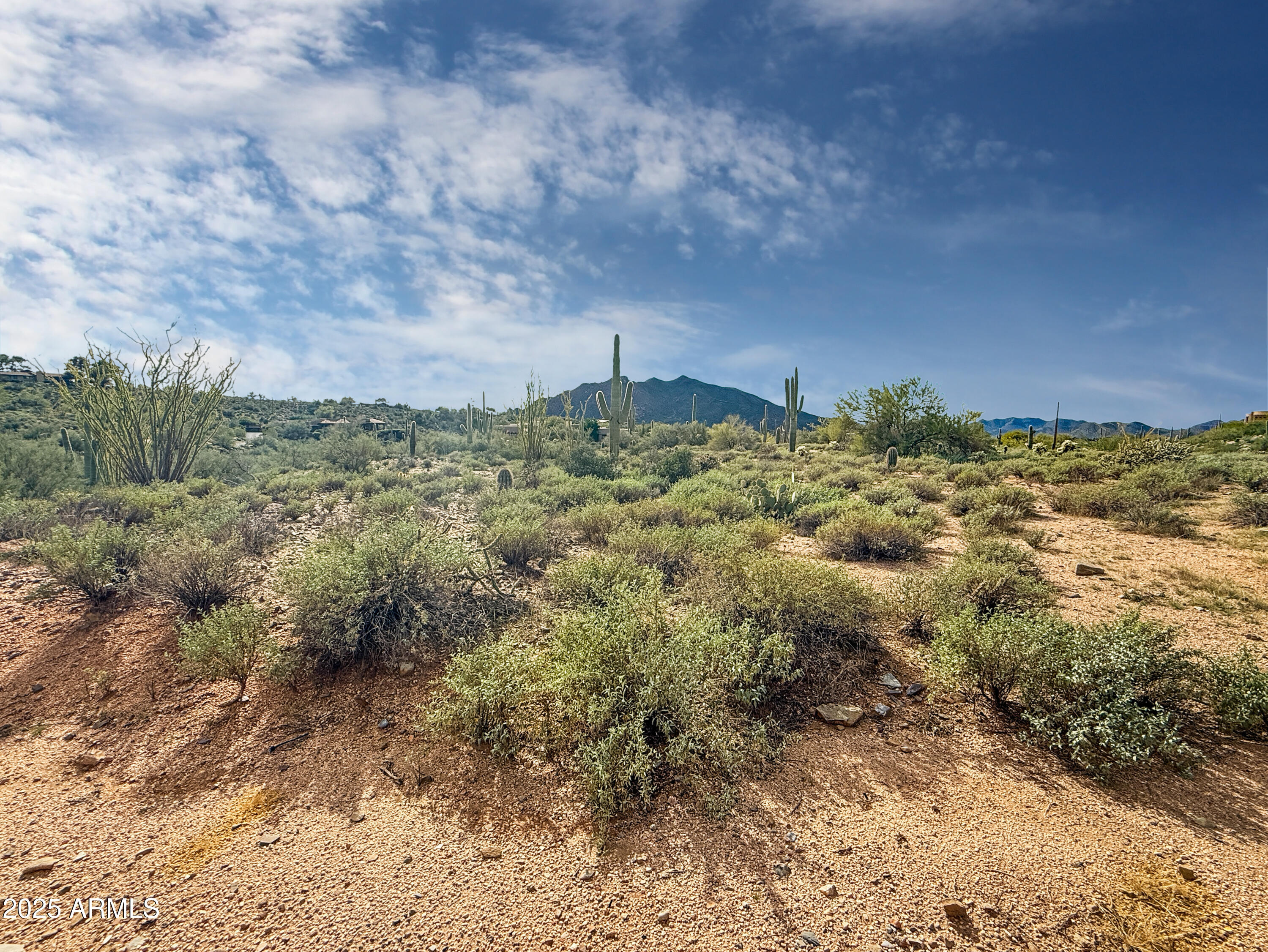 39005 N CRESTED QUAIL Run, 18