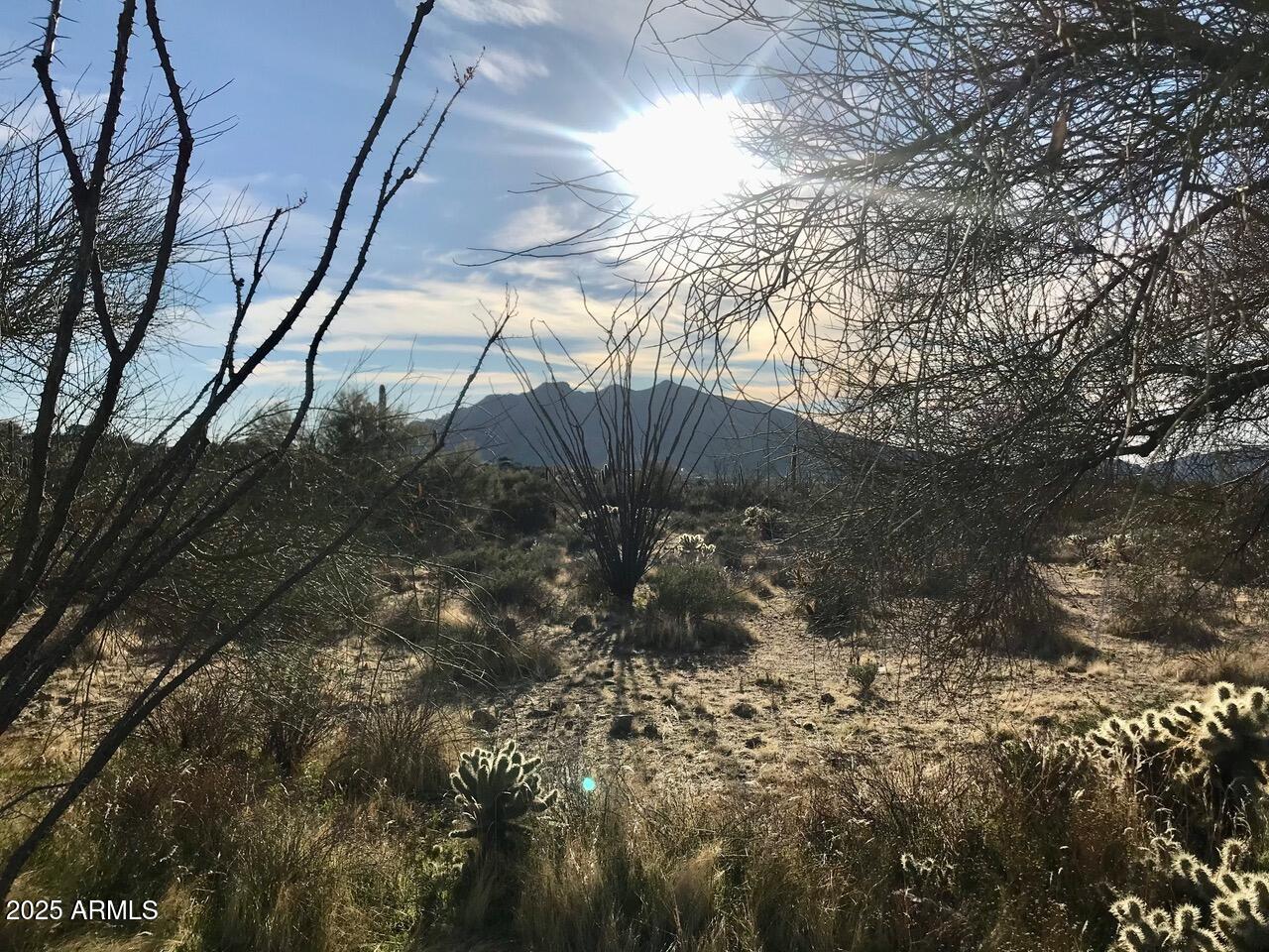 39005 N CRESTED QUAIL Run, 18