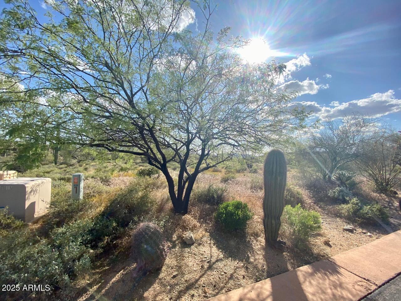39005 N CRESTED QUAIL Run, 18