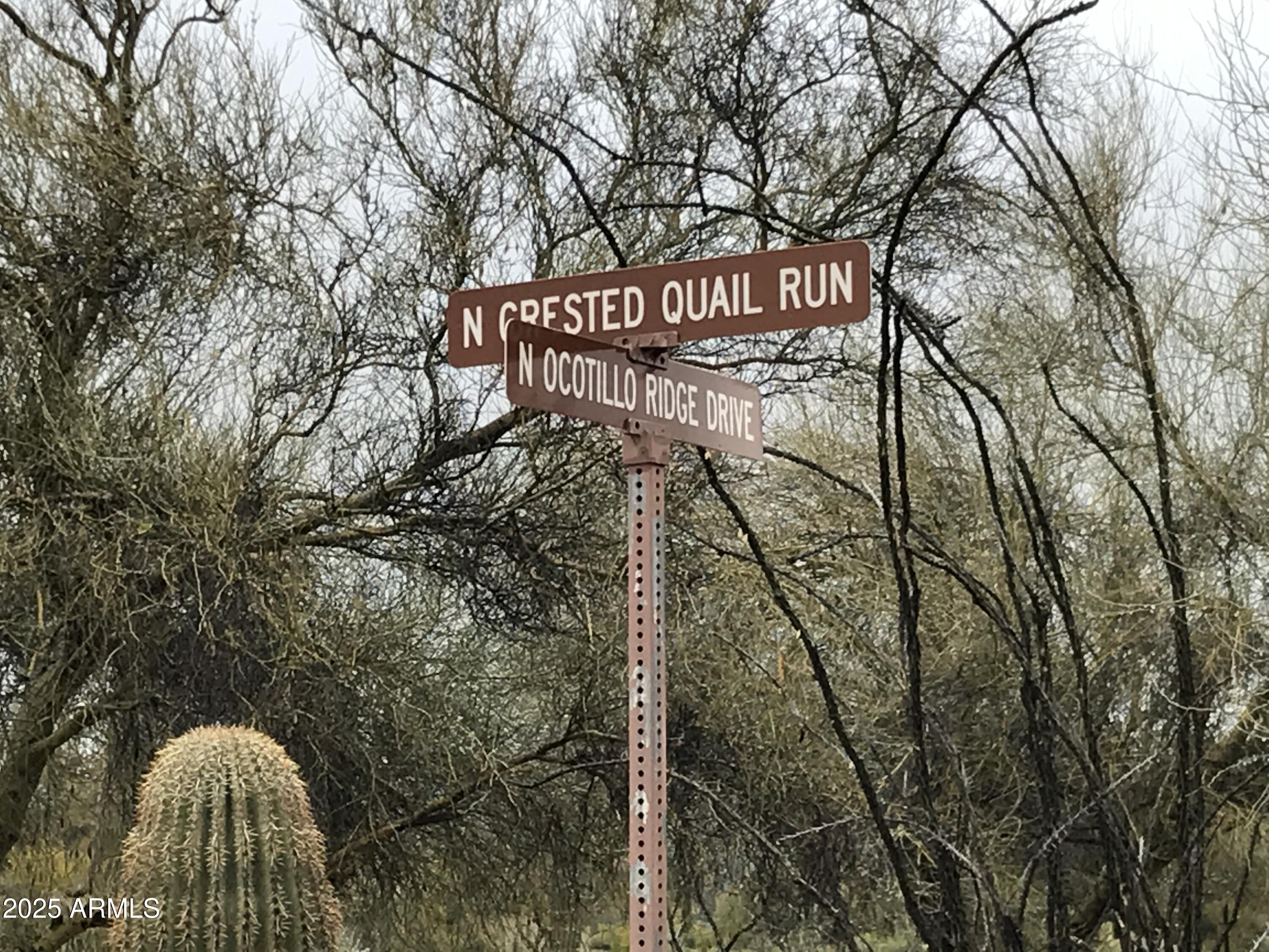 39005 N CRESTED QUAIL Run, 18