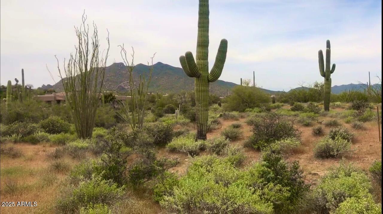 39005 N CRESTED QUAIL Run, 18
