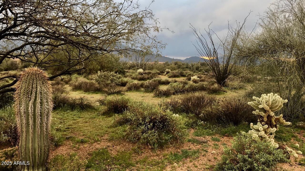 39005 N CRESTED QUAIL Run, 18