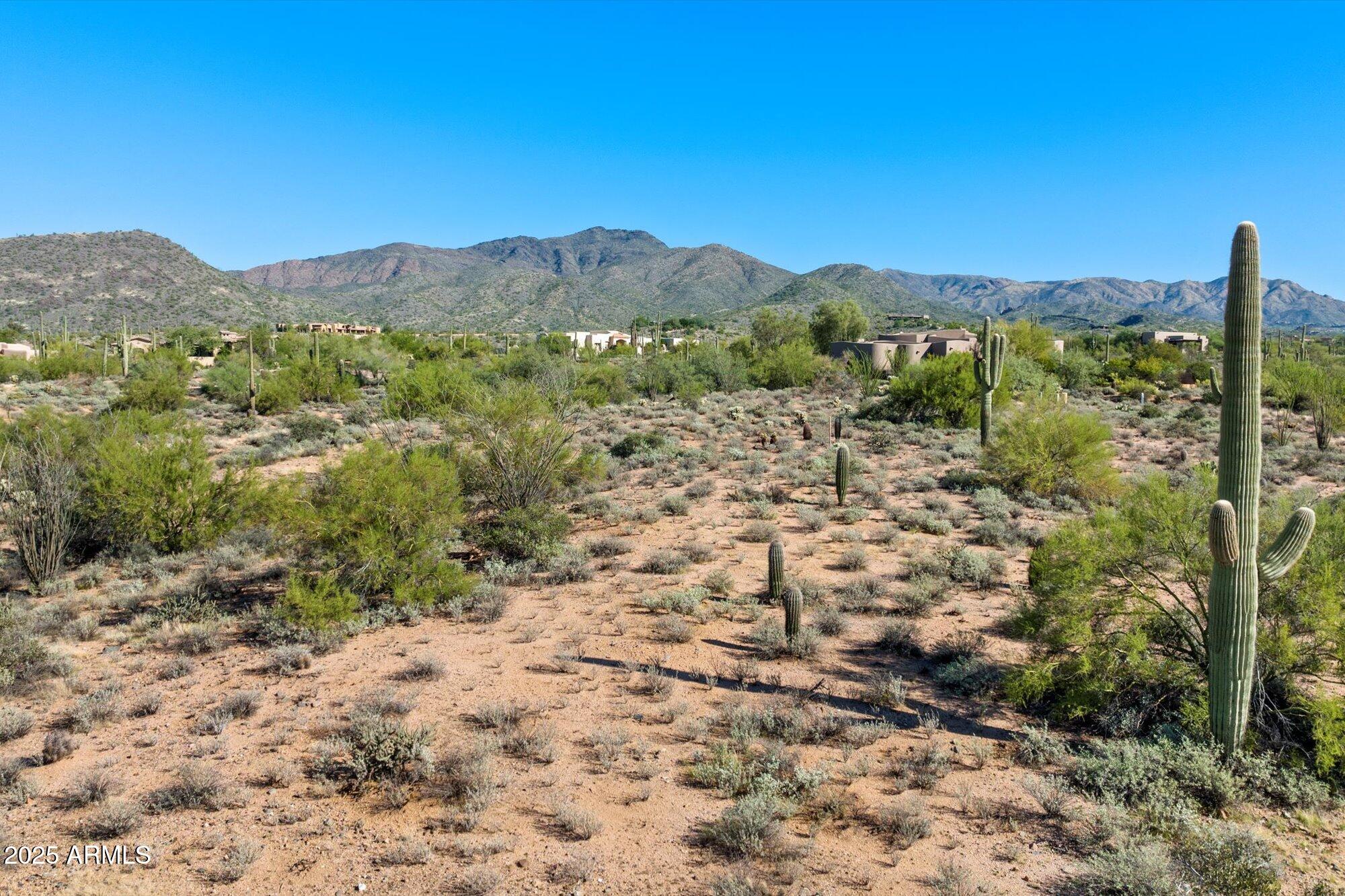 39005 N CRESTED QUAIL Run, 18