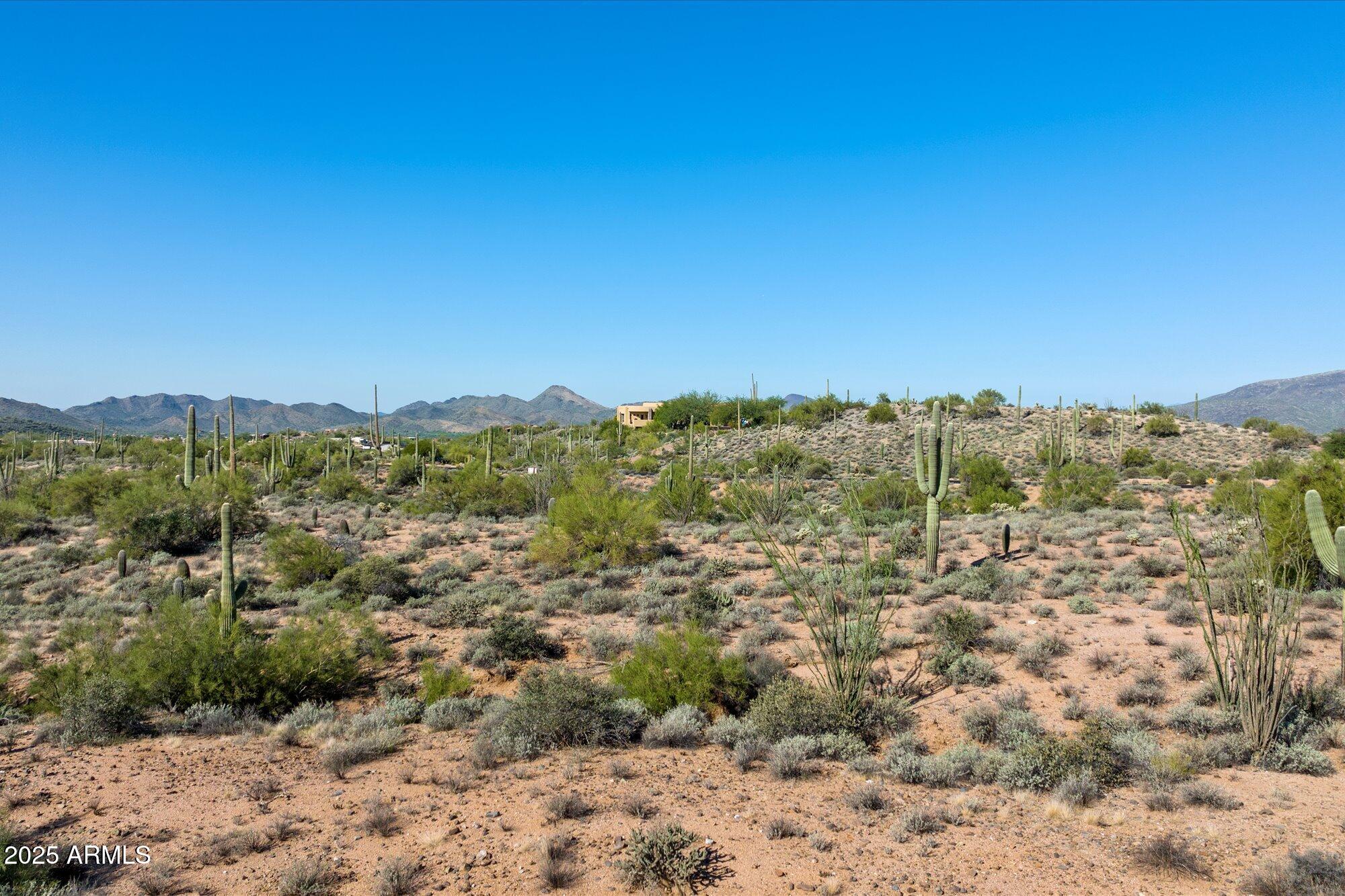 39005 N CRESTED QUAIL Run, 18