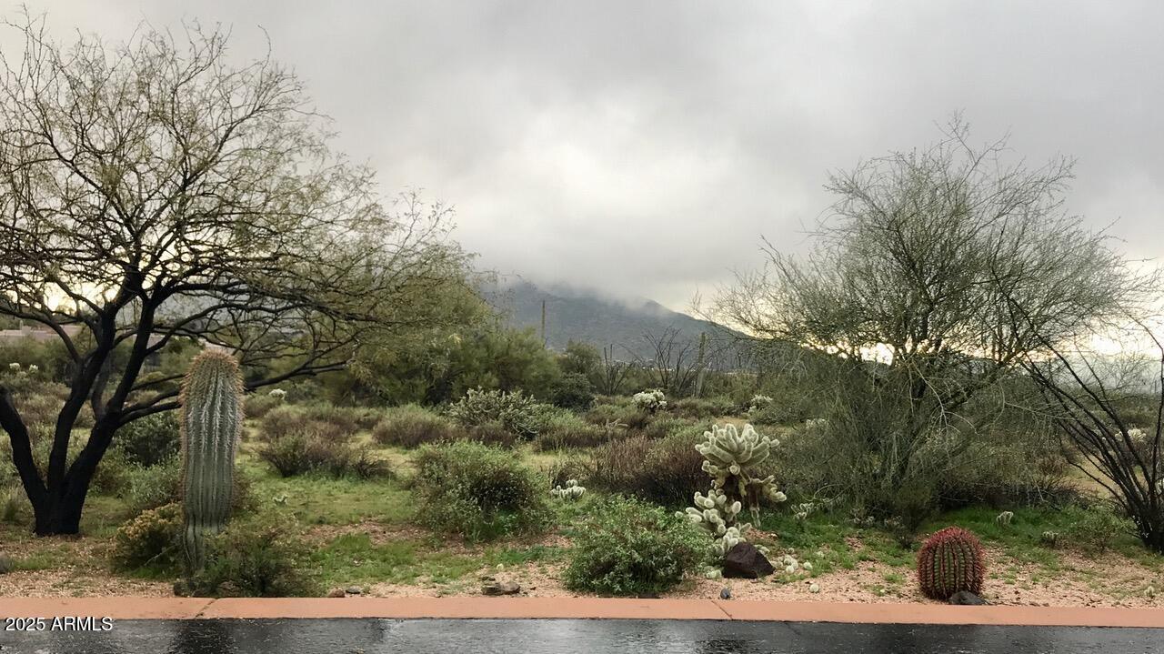 39005 N CRESTED QUAIL Run, 18