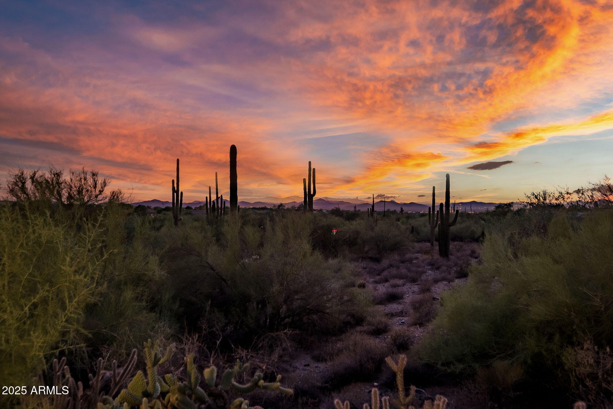 6505 E OLD PAINT Trail