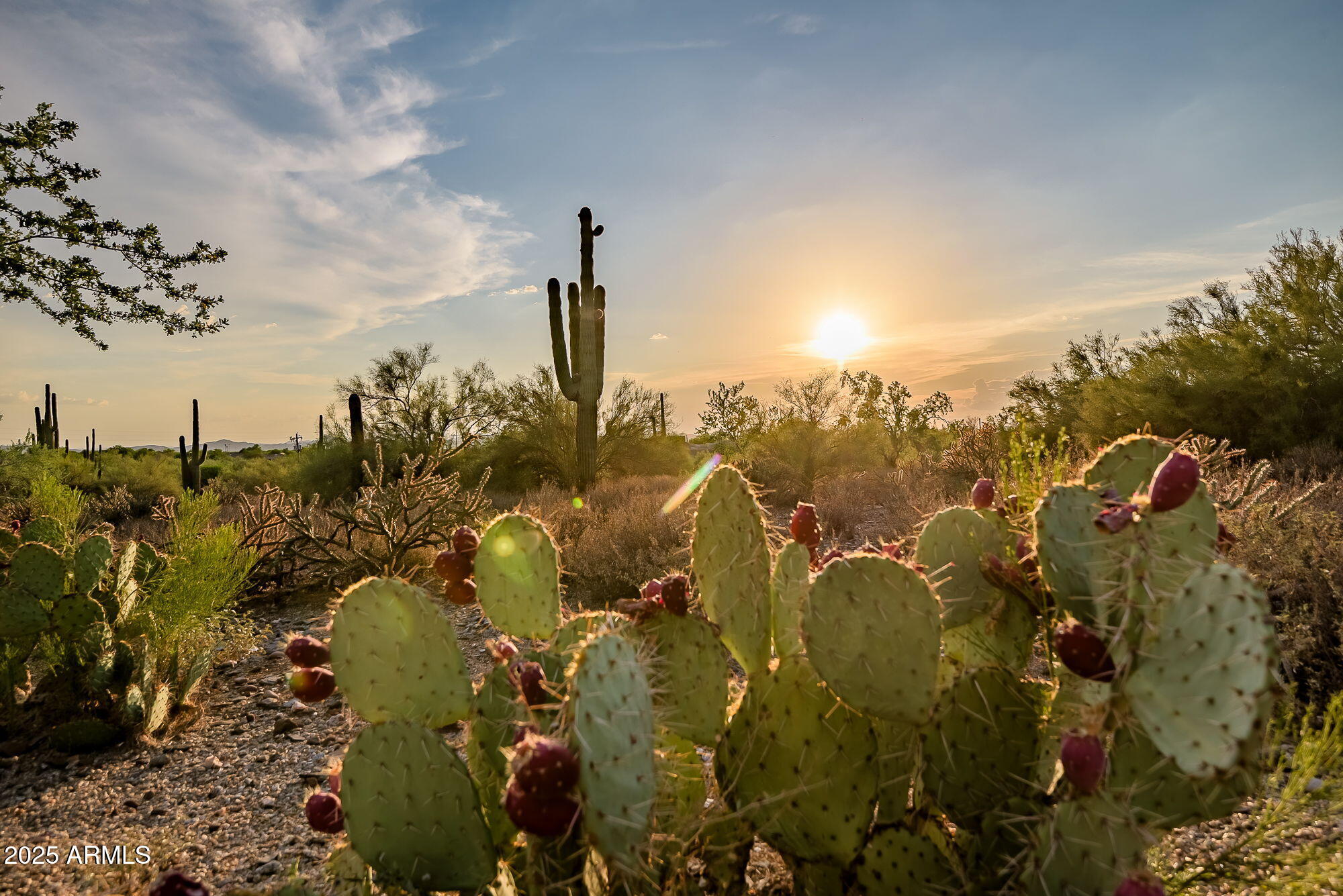 6505 E OLD PAINT Trail