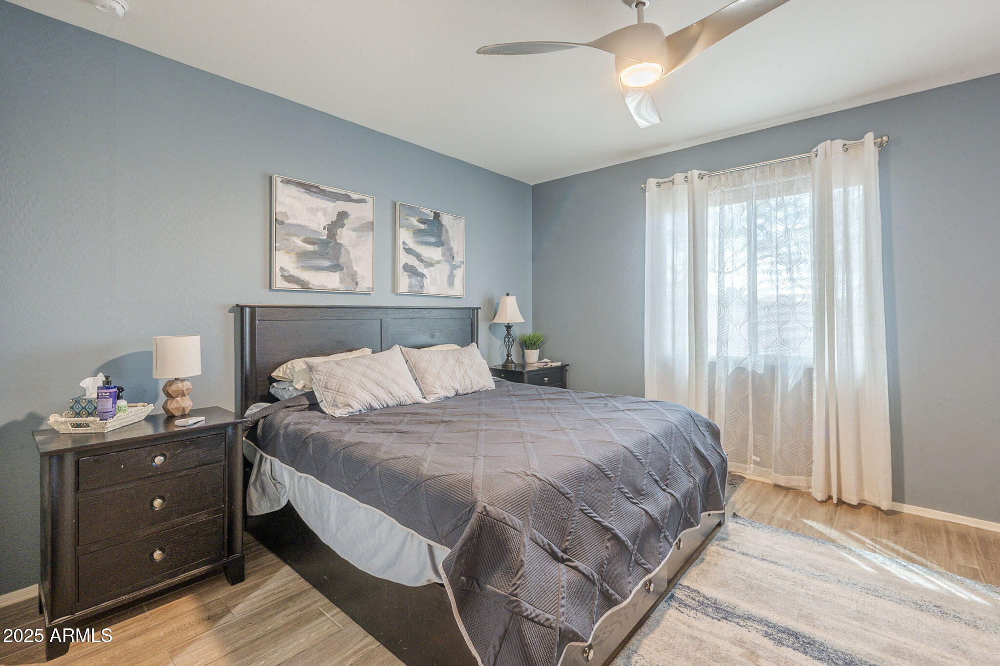 41793 W CANASTA Lane