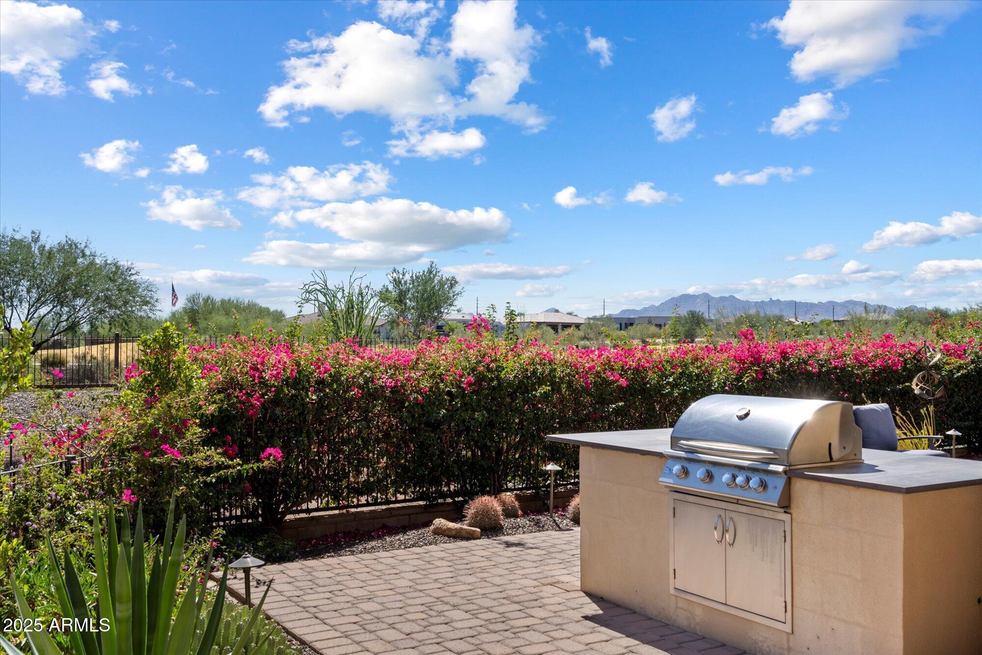 17413 E HIDDEN GREEN Court, Rio Verde