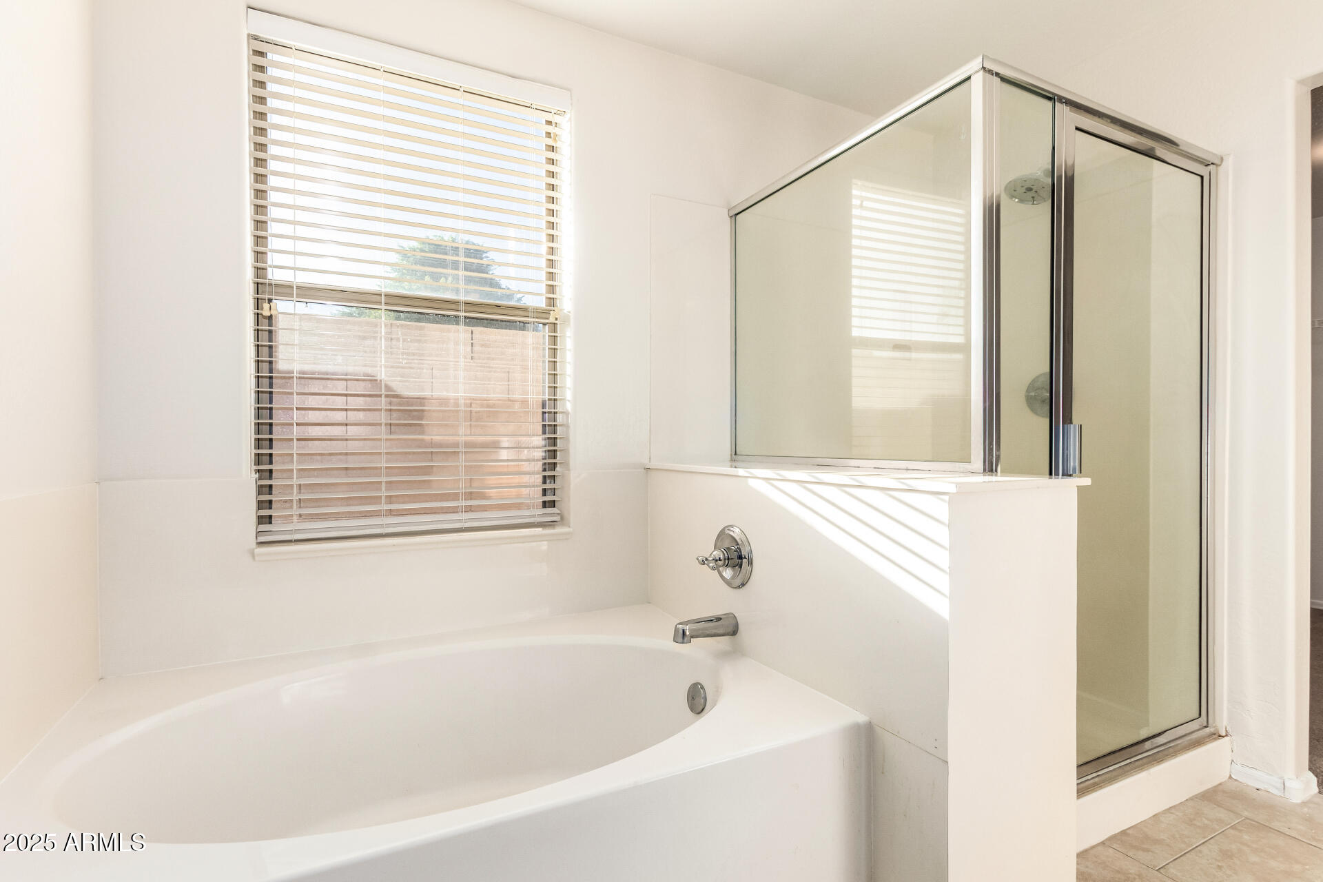 11843 W VIA MONTOYA Court, Sun City