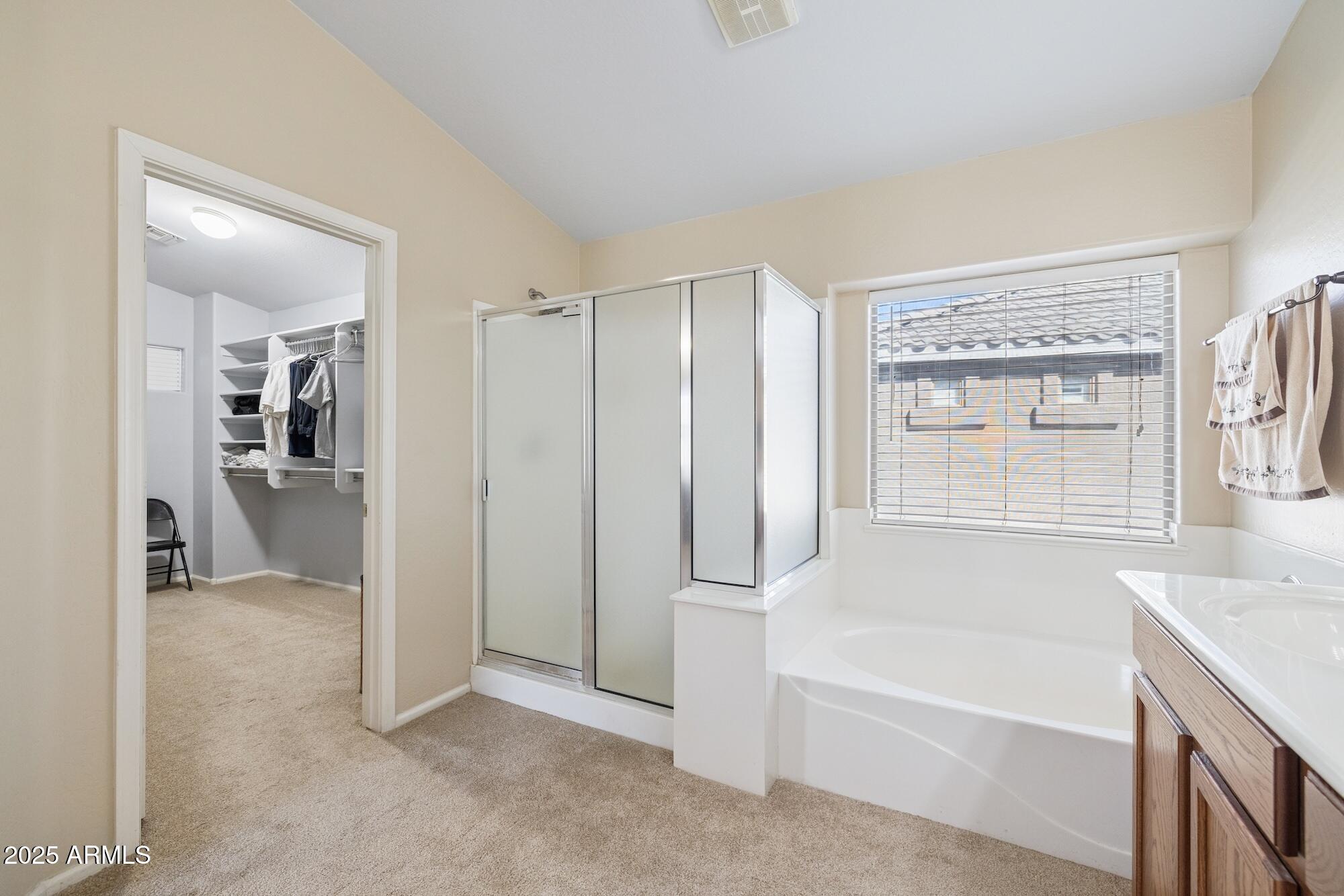 38689 N JONATHAN Street