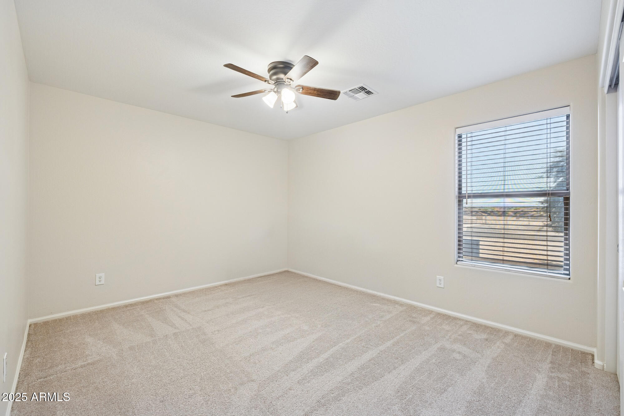 38689 N JONATHAN Street