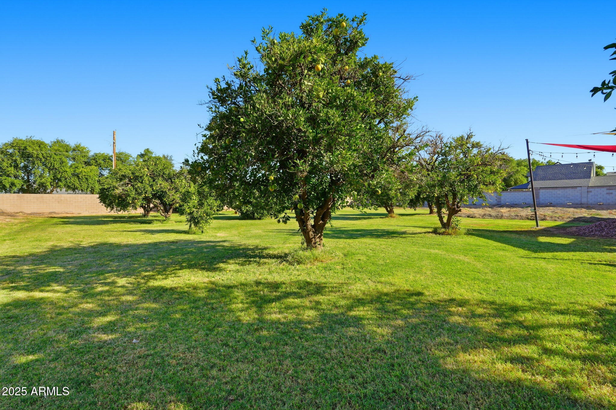 17244 E CHESTNUT Drive