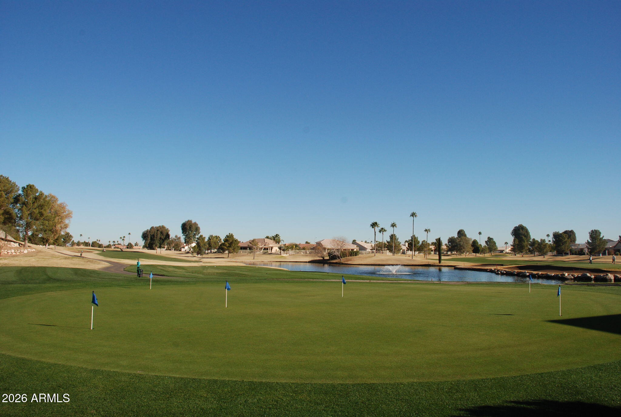 24413 S RIBBONWOOD Drive