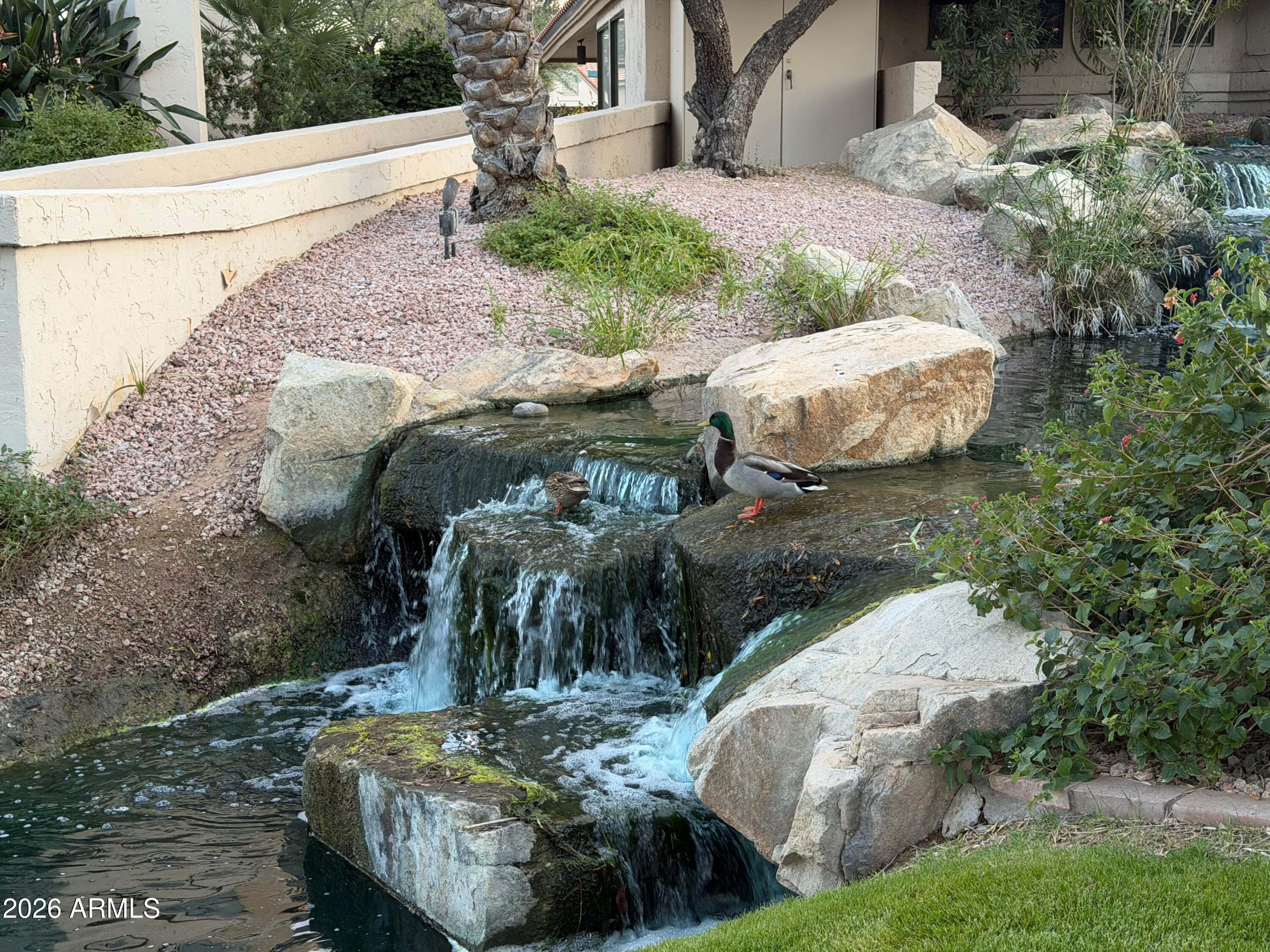 9705 E MOUNTAIN VIEW Road 1126