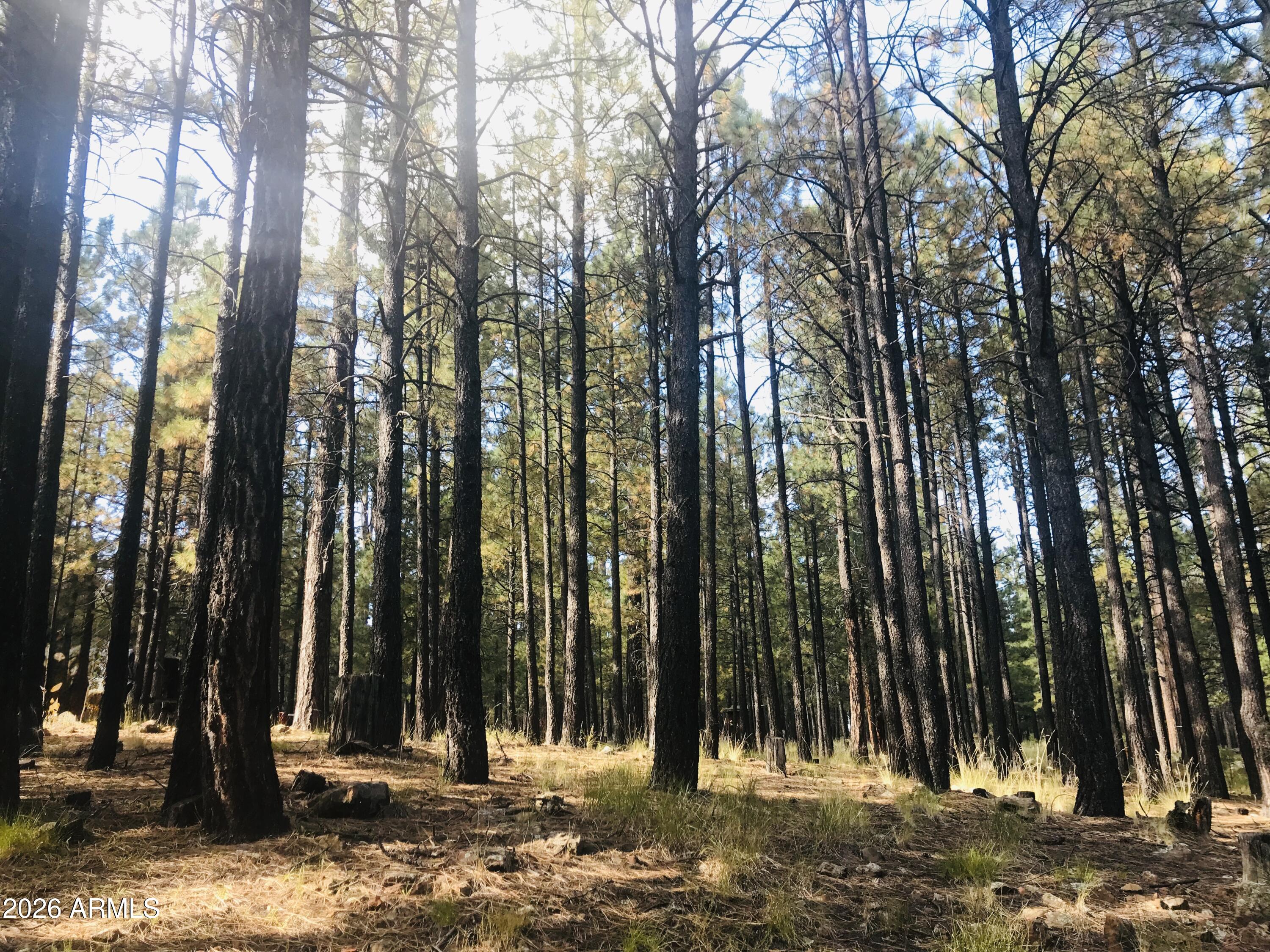 292 S Squirrels Nest Lane 11