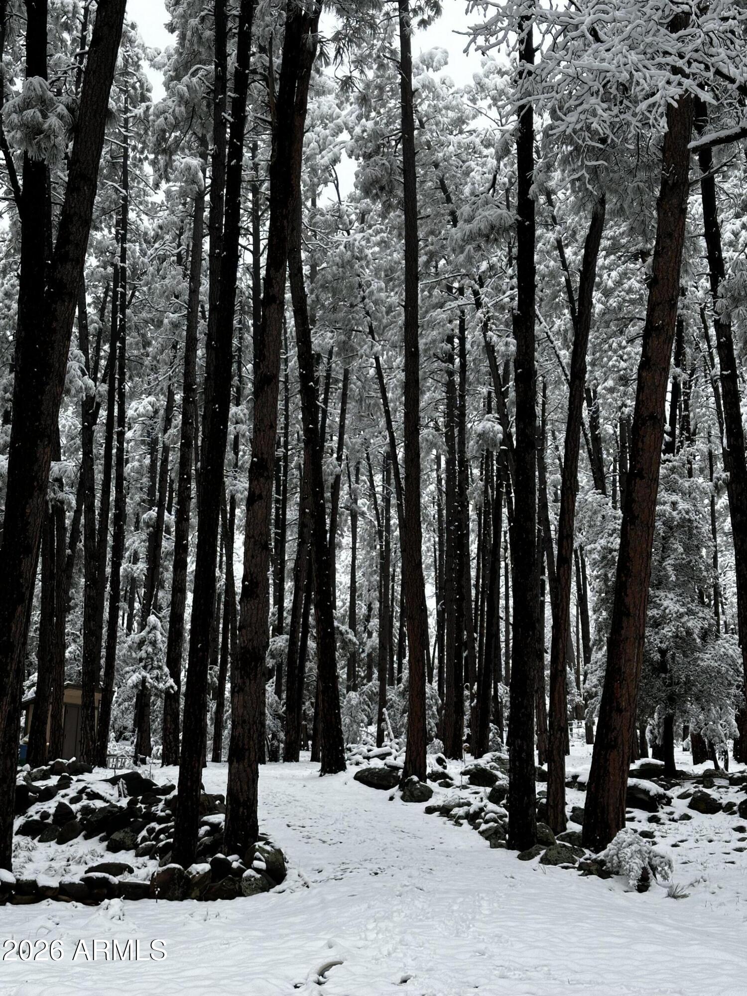 292 S Squirrels Nest Lane 11