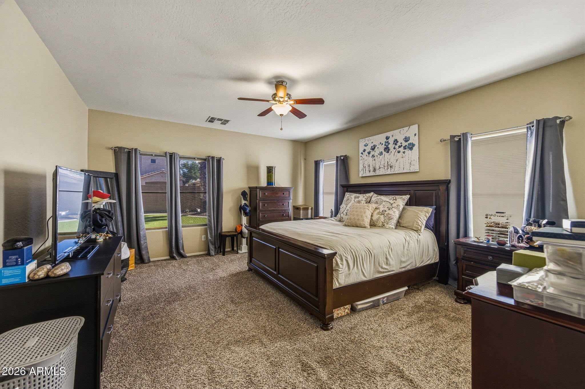 36591 W COSTA BLANCA Drive