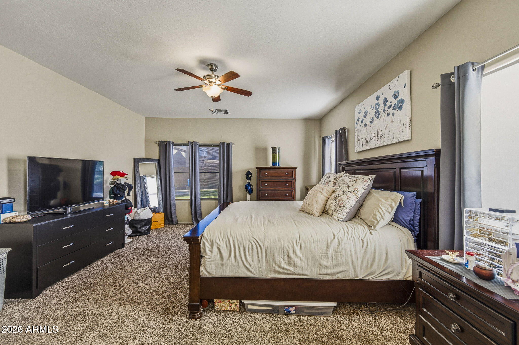36591 W COSTA BLANCA Drive