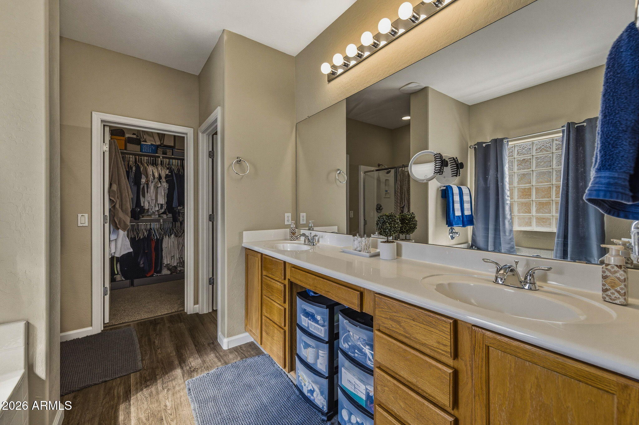 36591 W COSTA BLANCA Drive