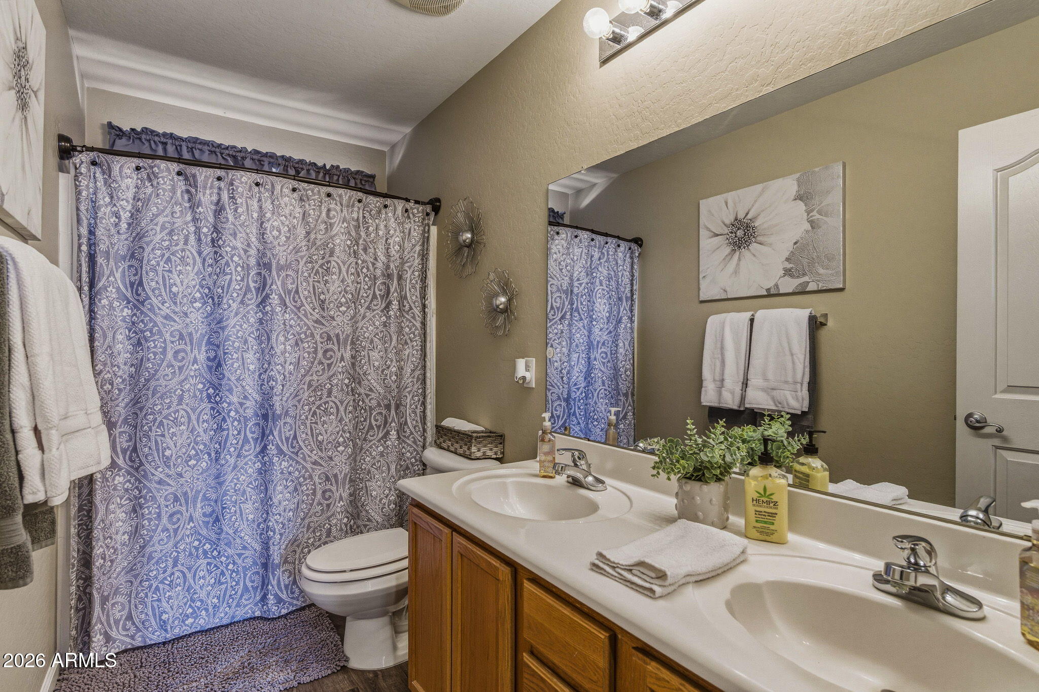 36591 W COSTA BLANCA Drive
