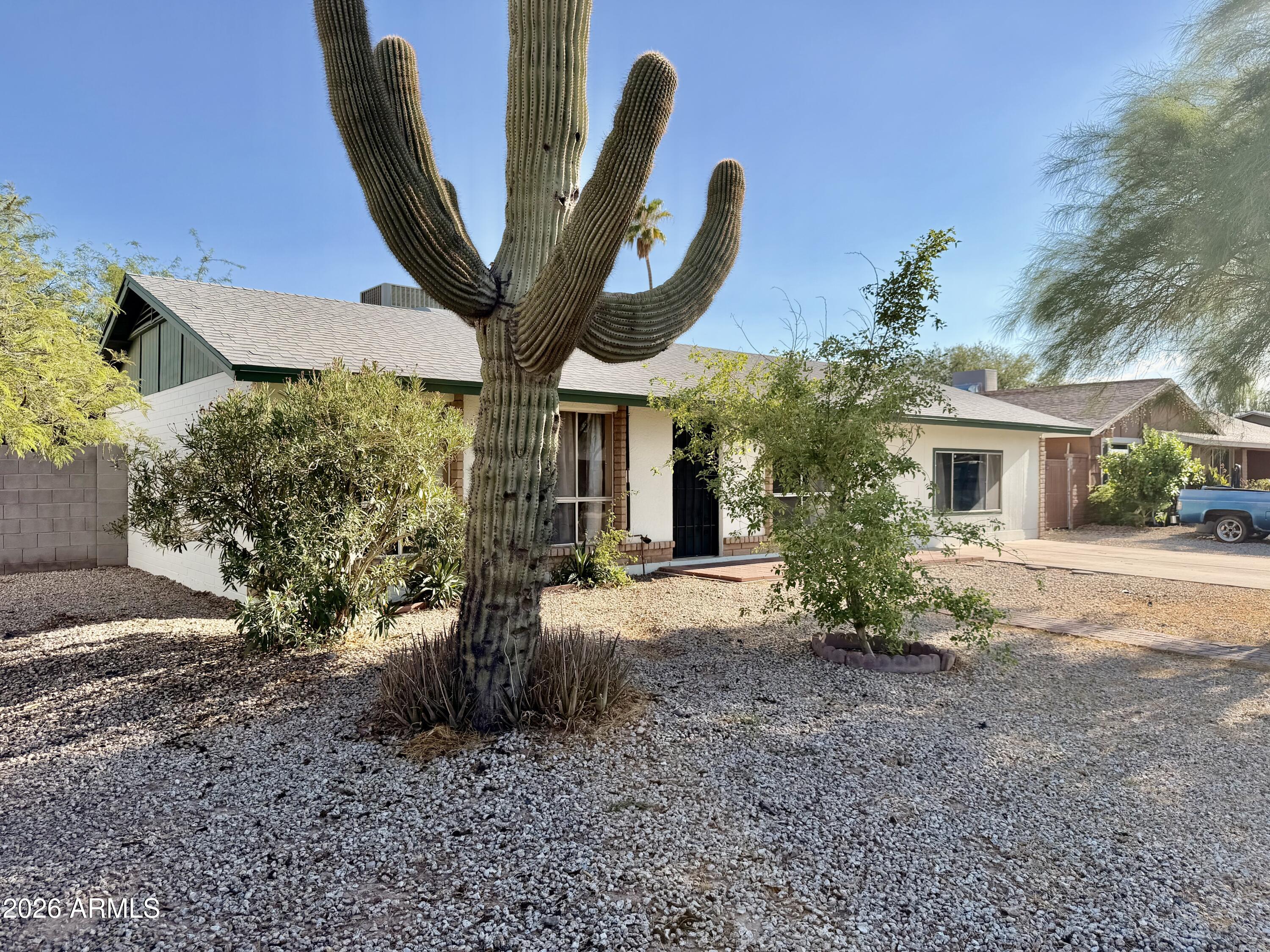 525 E JUDI Drive