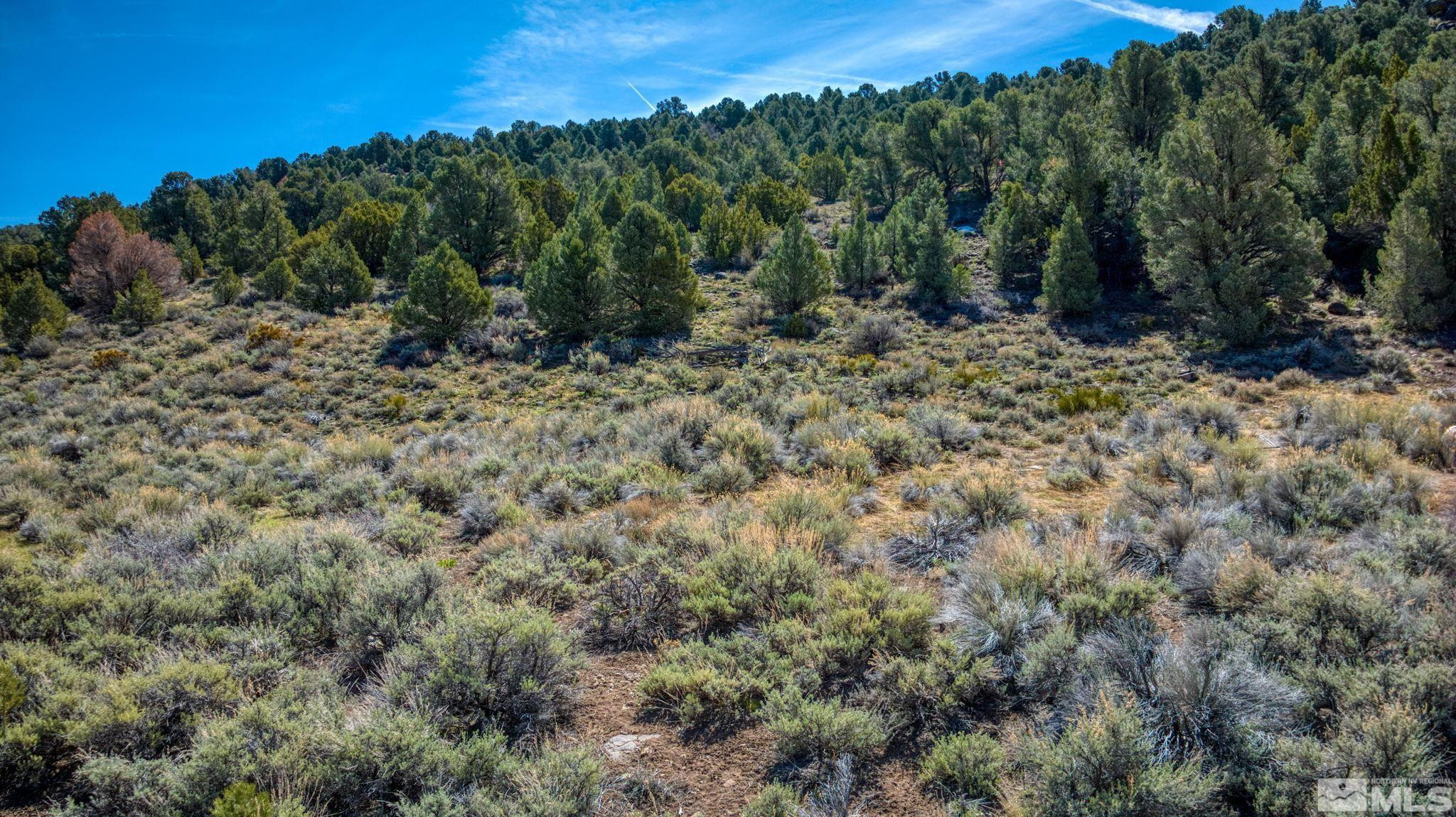 2151 Lousetown Road