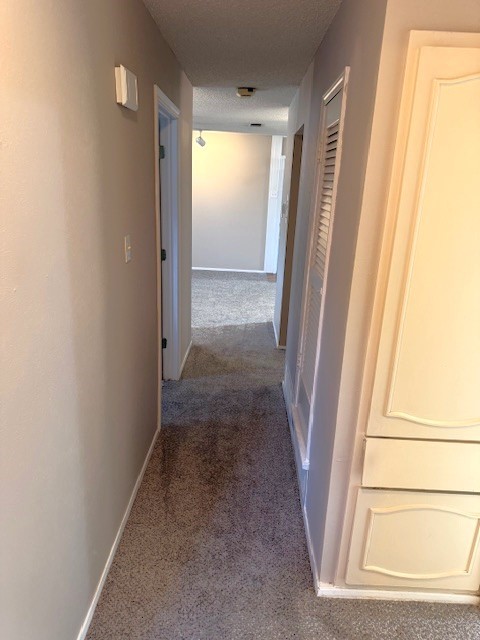 4905 Tracy Drive