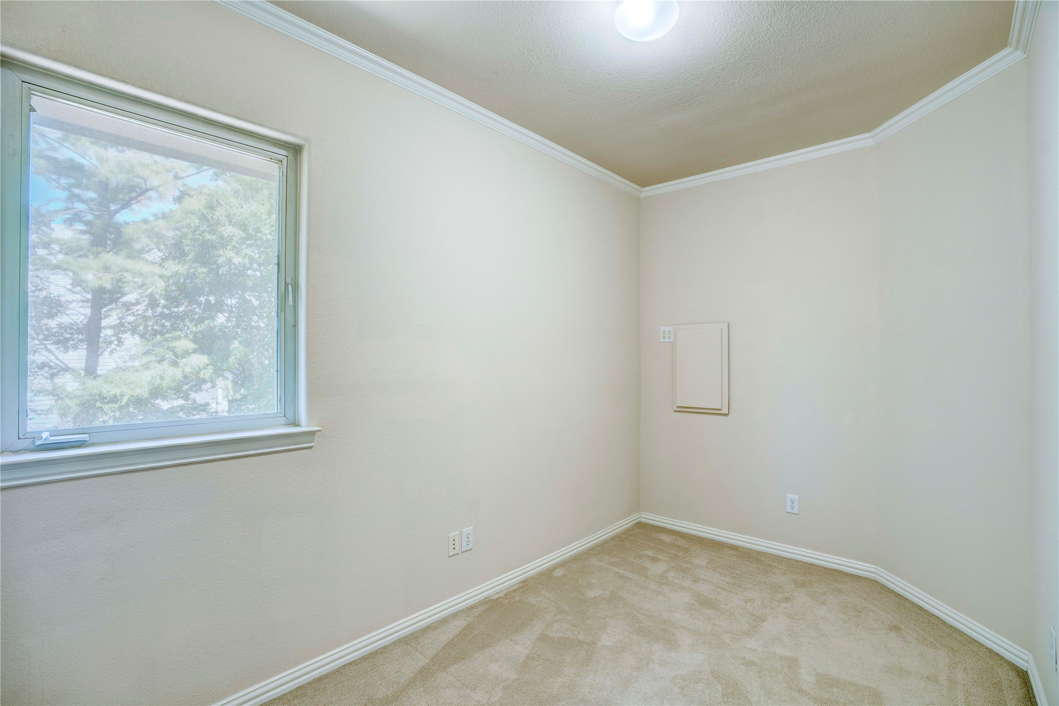 1132 Mallard Pointe Drive