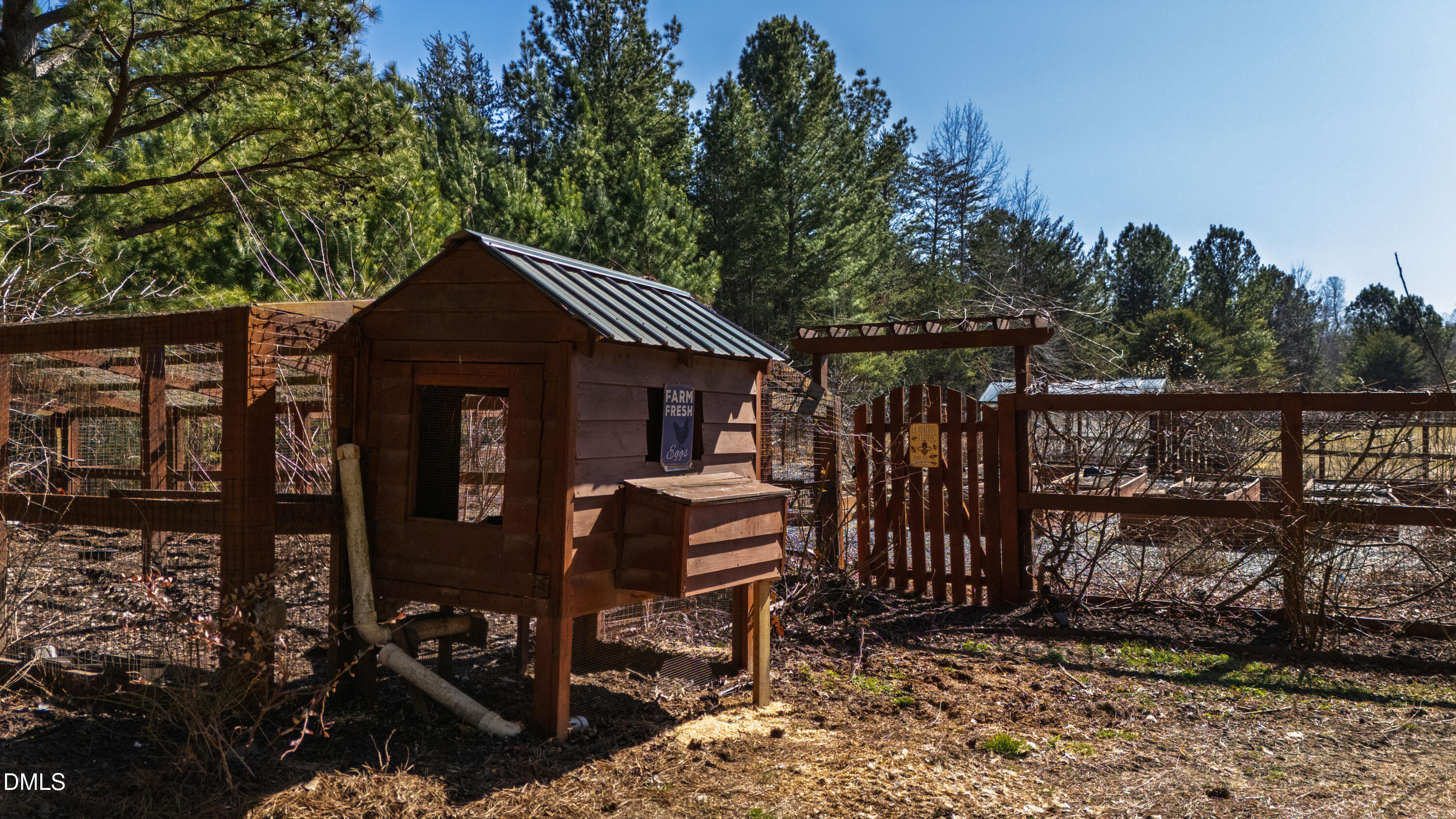 415 Trotting Trail