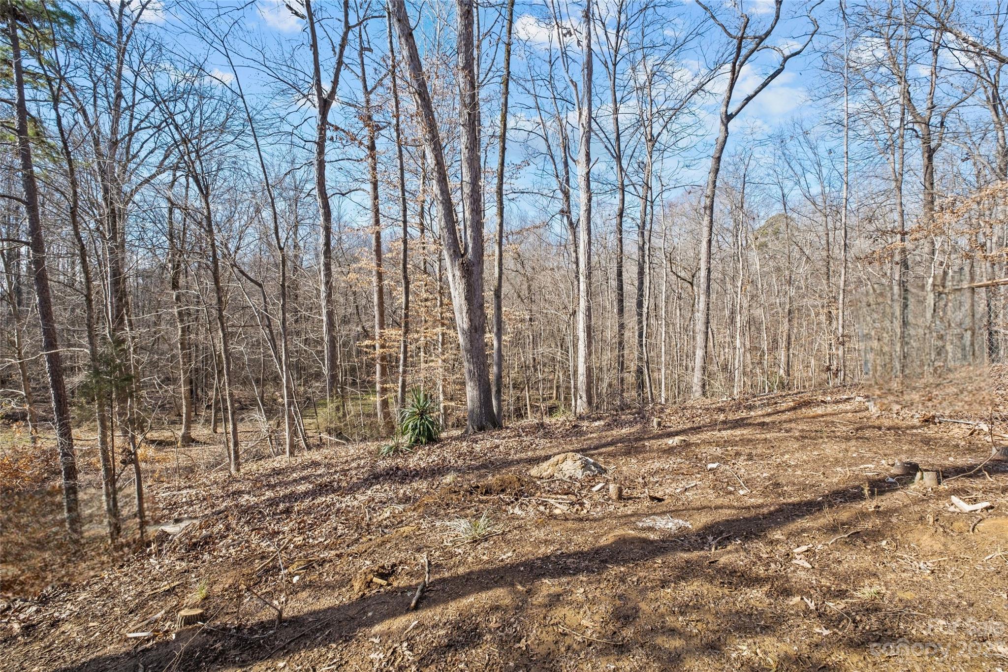 300 Laura Springs Drive