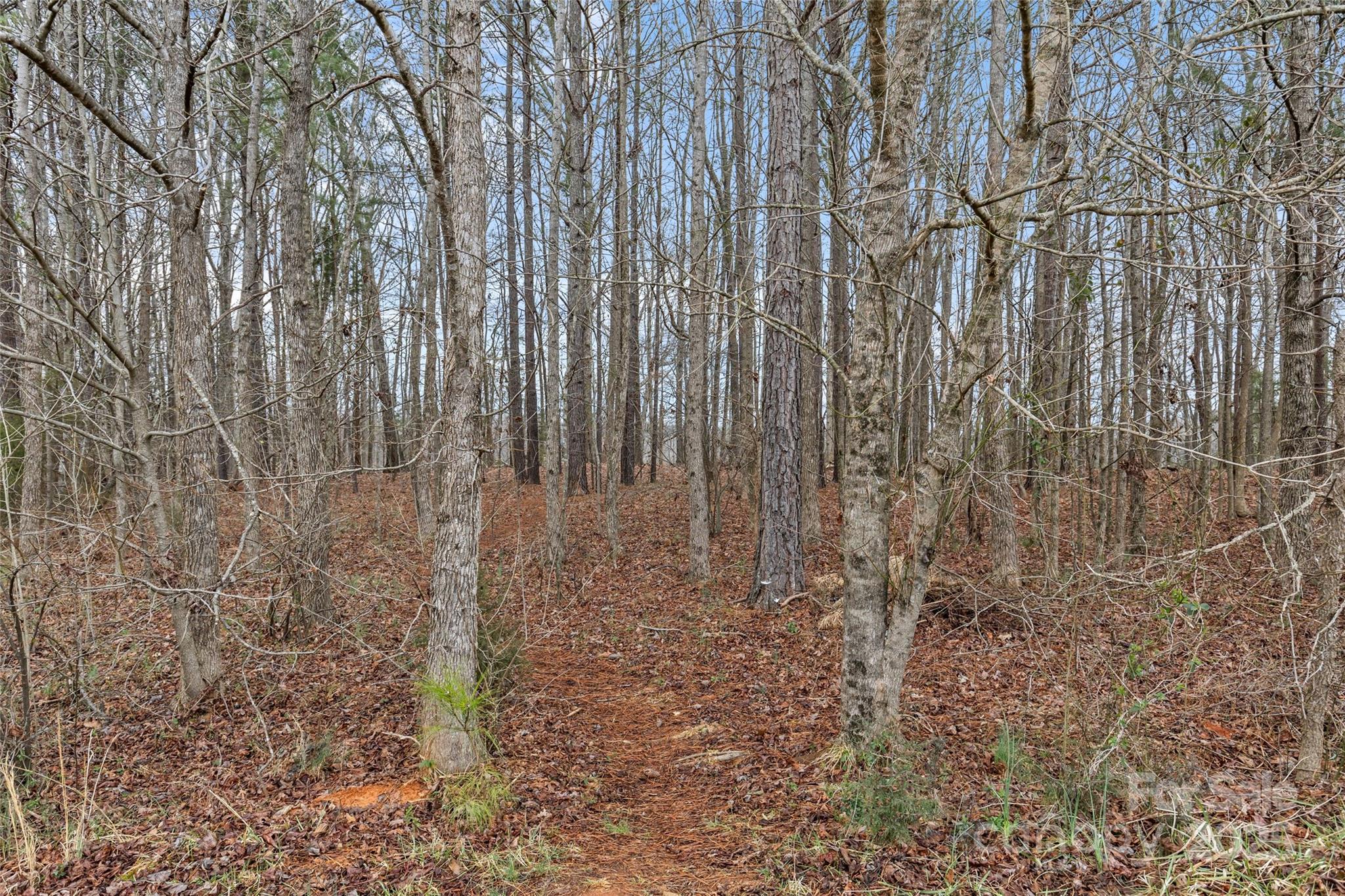 3090 Tallgrass Bluff