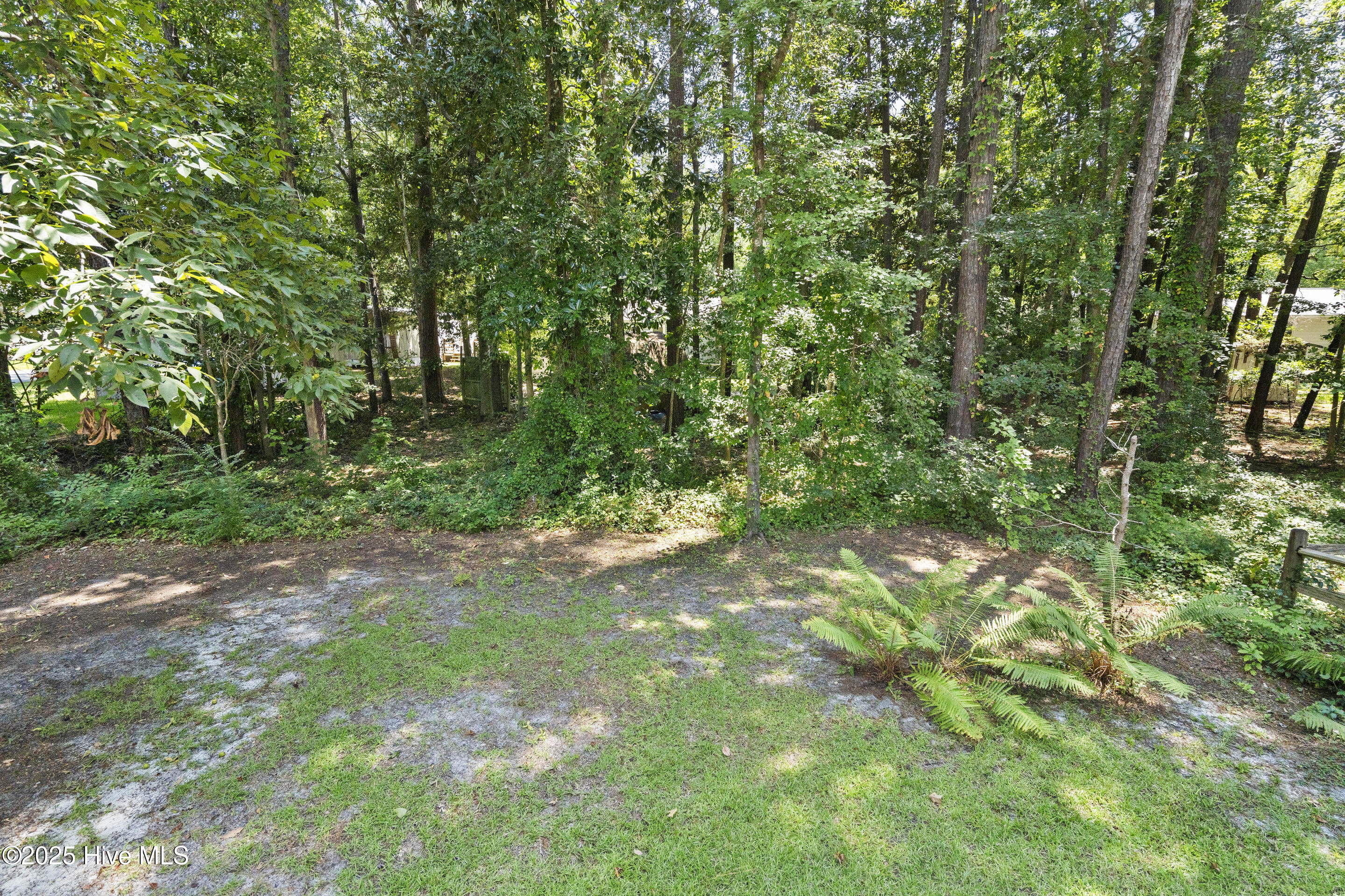 5610 Forest Ave. Avenue