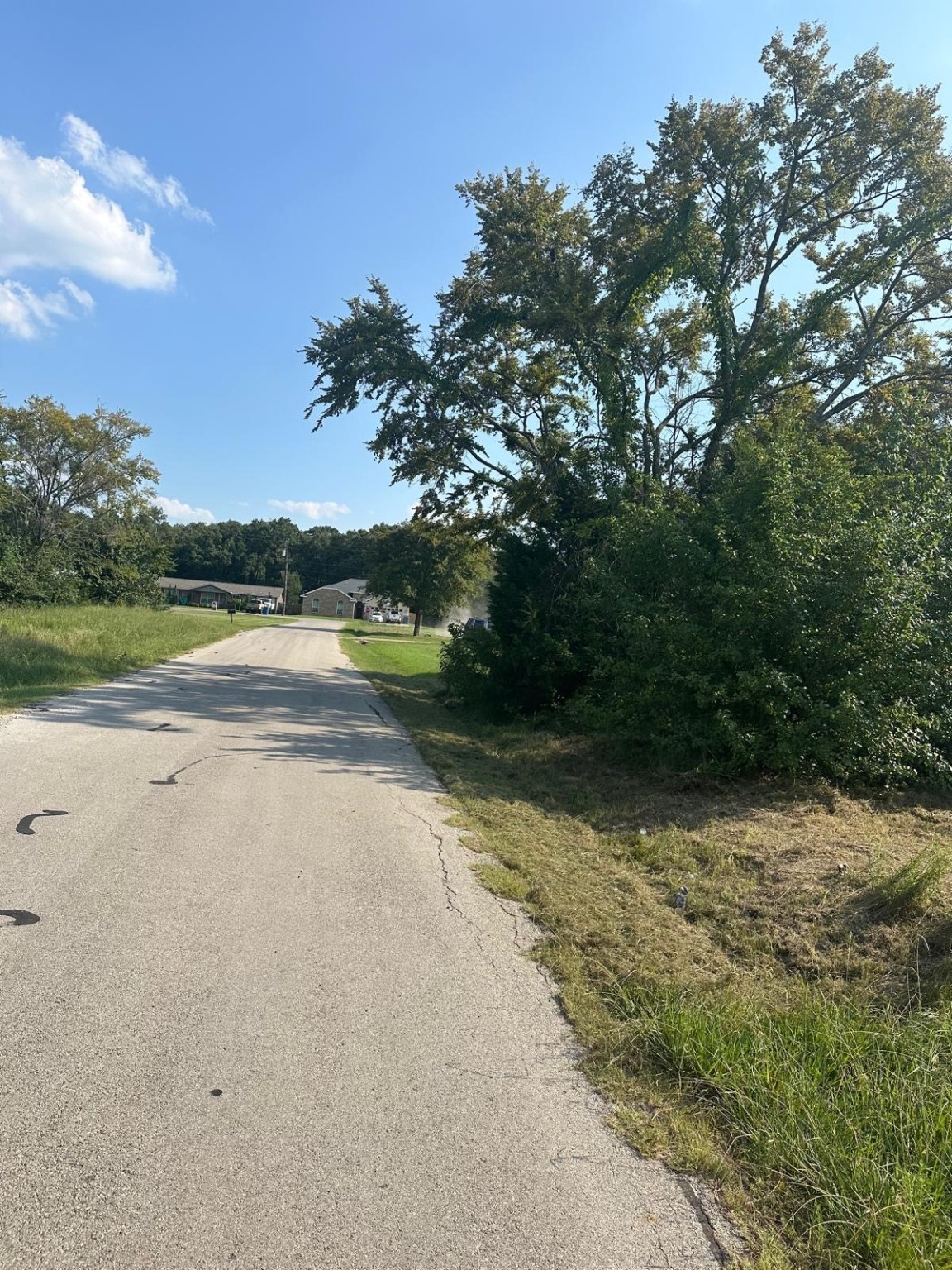 00 BACKLASH DR Drive