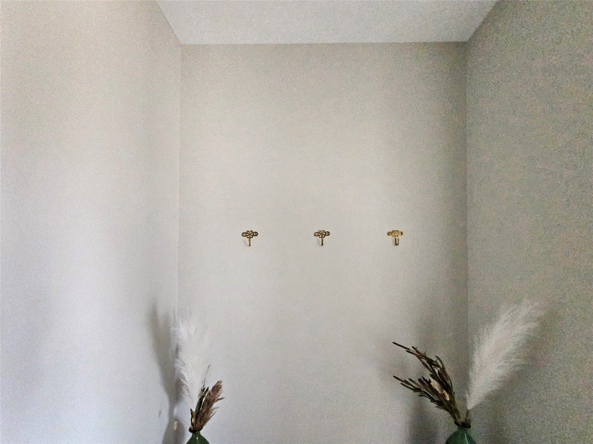 305 Coral Reef Street